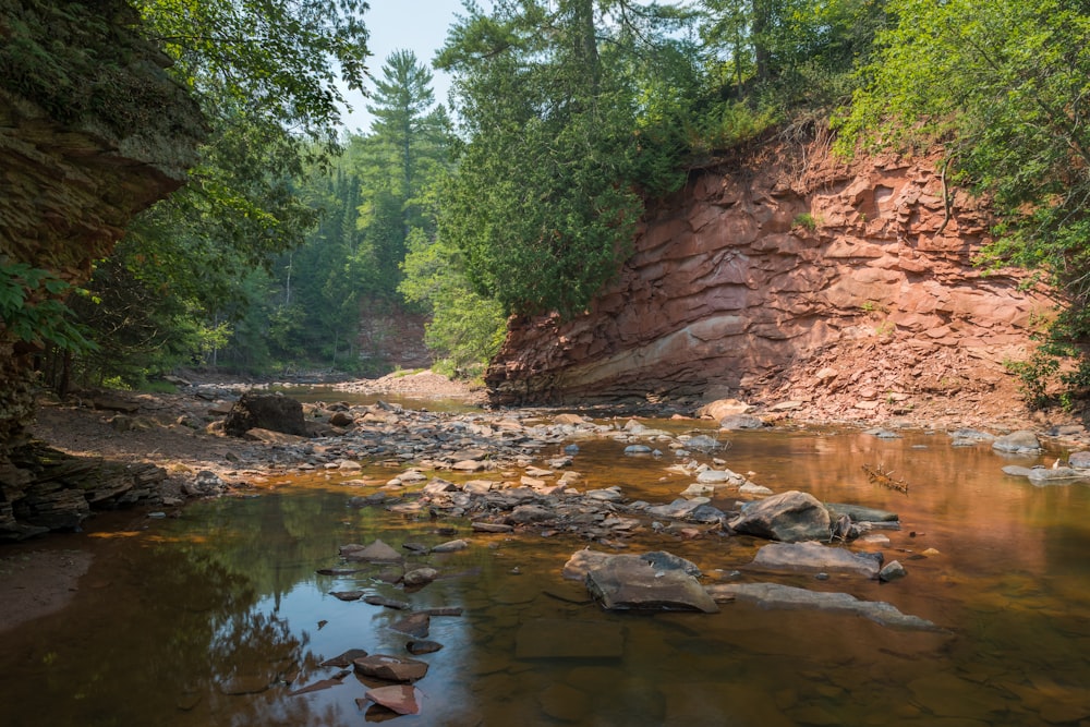 a river with rocks and trees