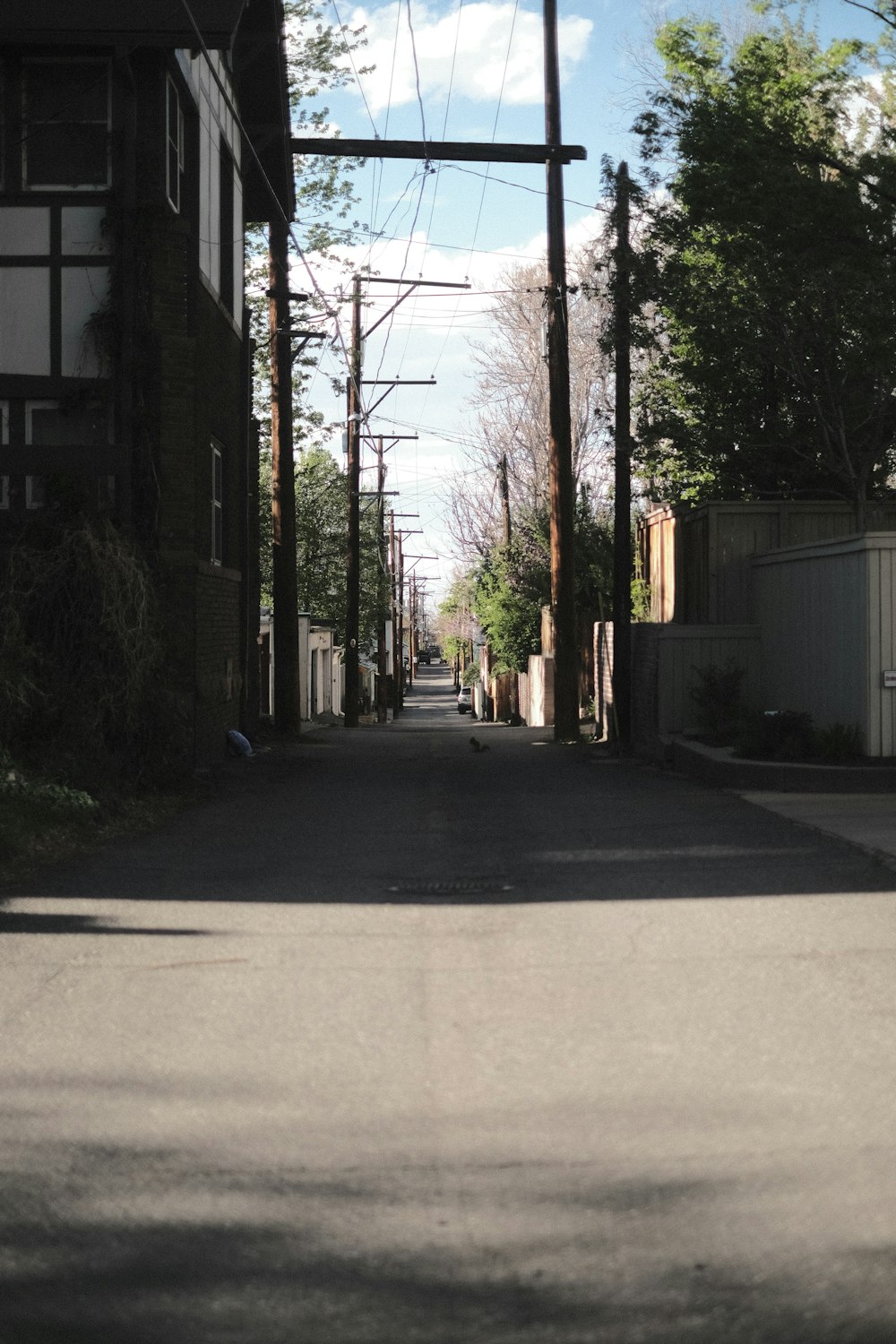 a street with trees and buildings