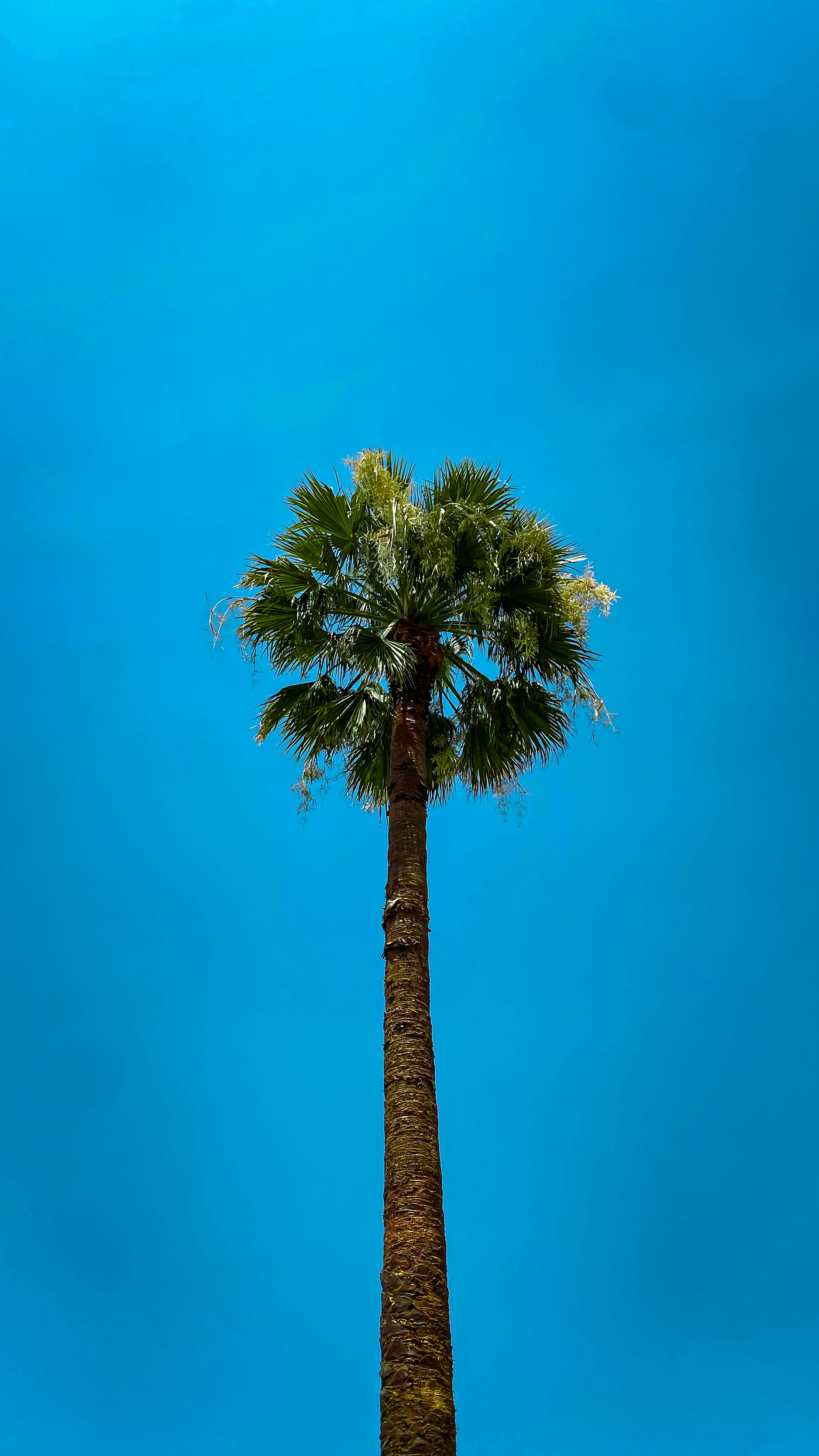 Photo by cristianortega