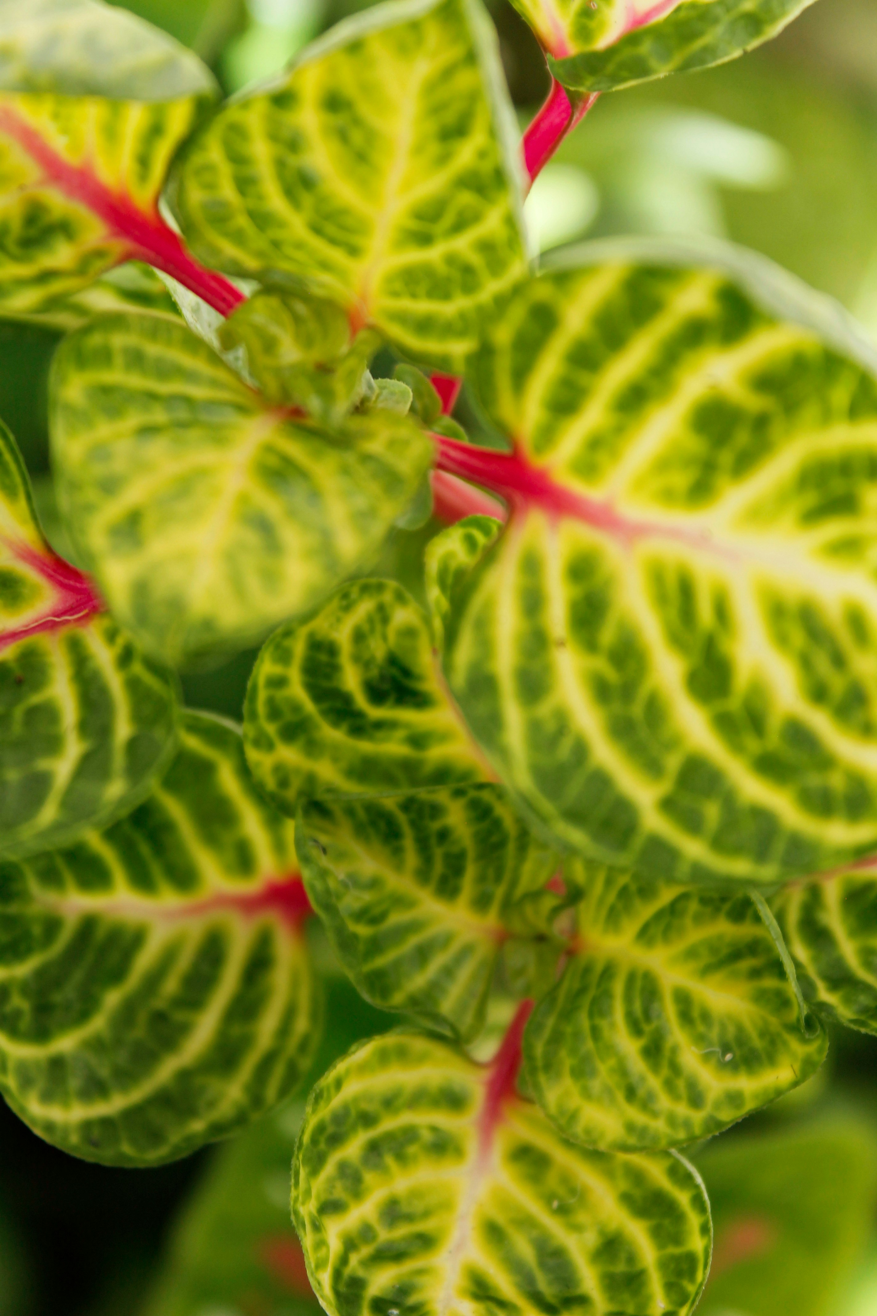 Photo by paolarurrutia