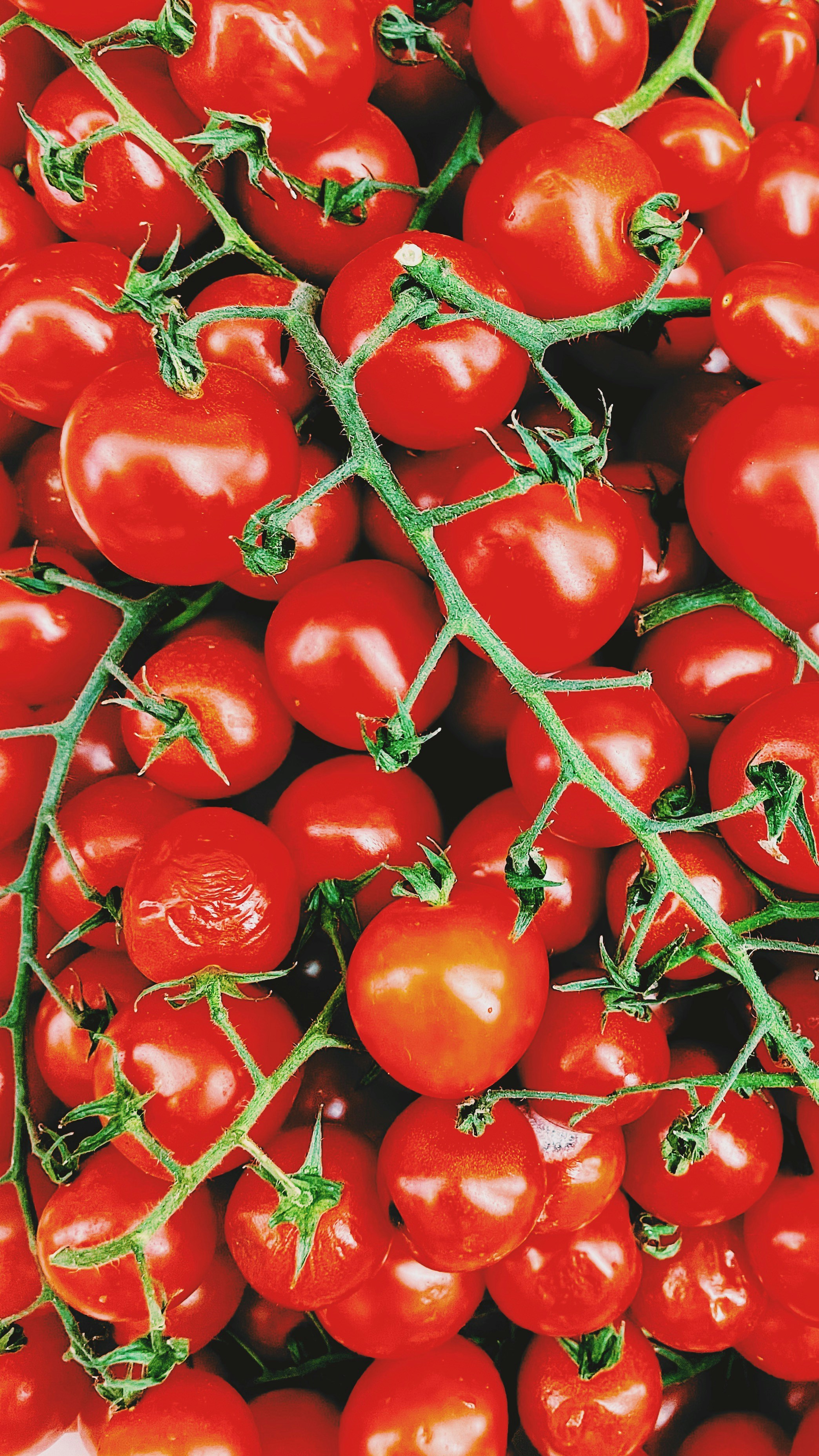 un mucchio di pomodori rossi
