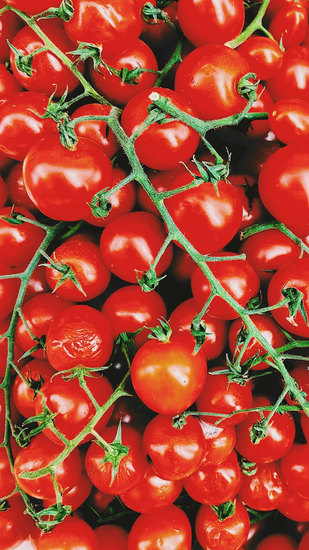 Ein Haufen roter Tomaten