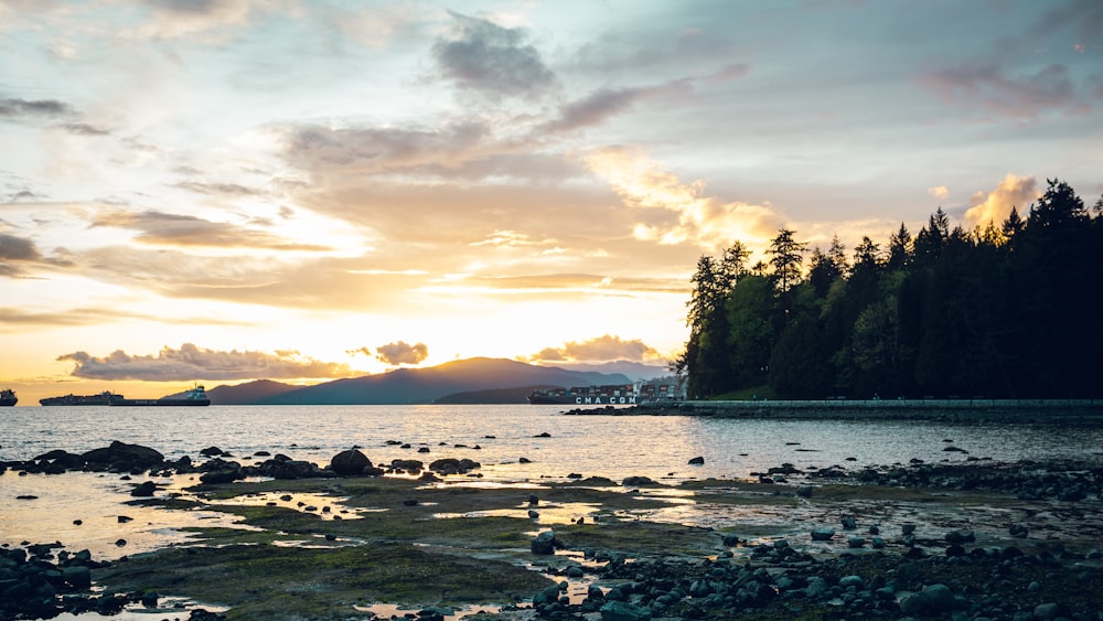 a beach with trees and rocks