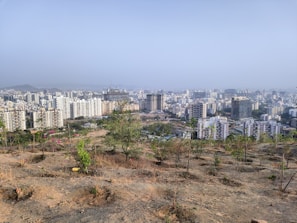 a city with many buildings