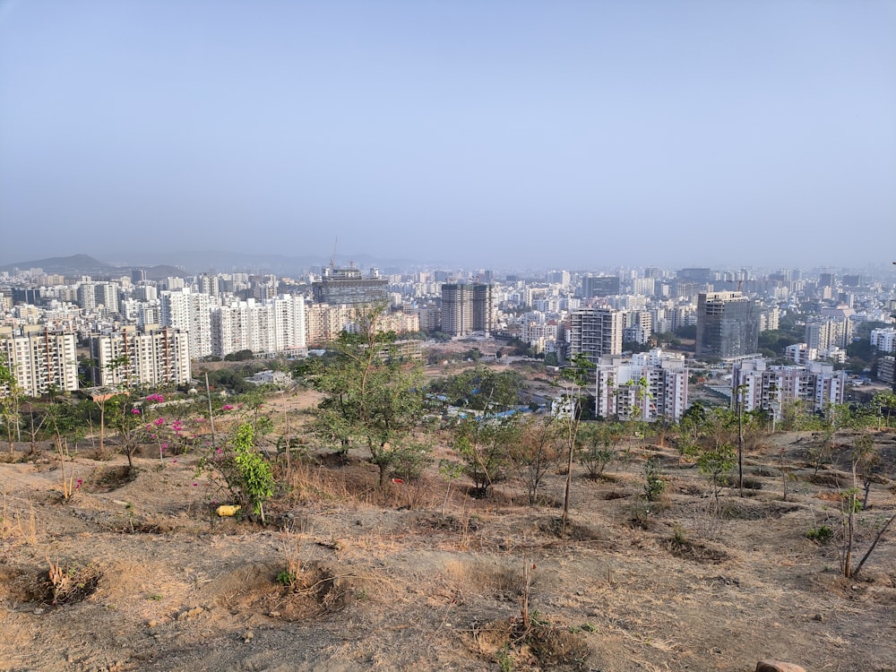 a city with many buildings