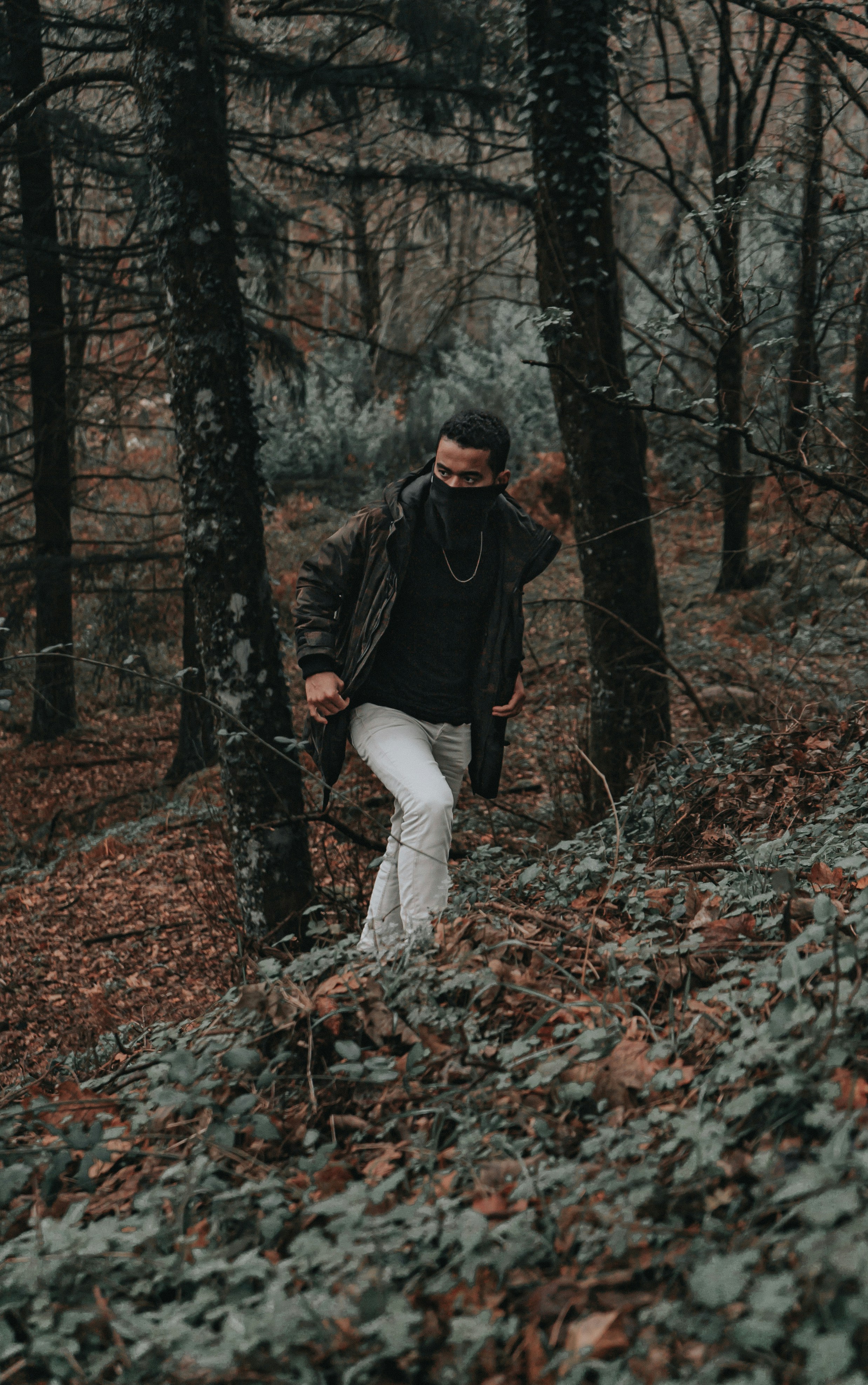 Photo by paulo0000000000000