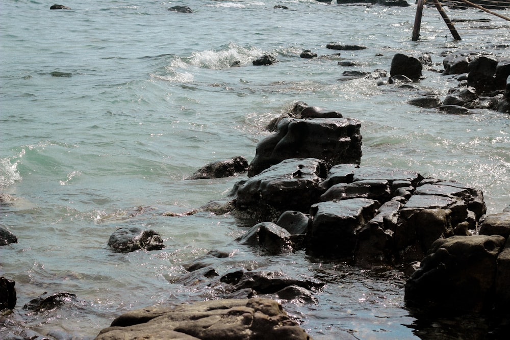 a group of rocks in the water