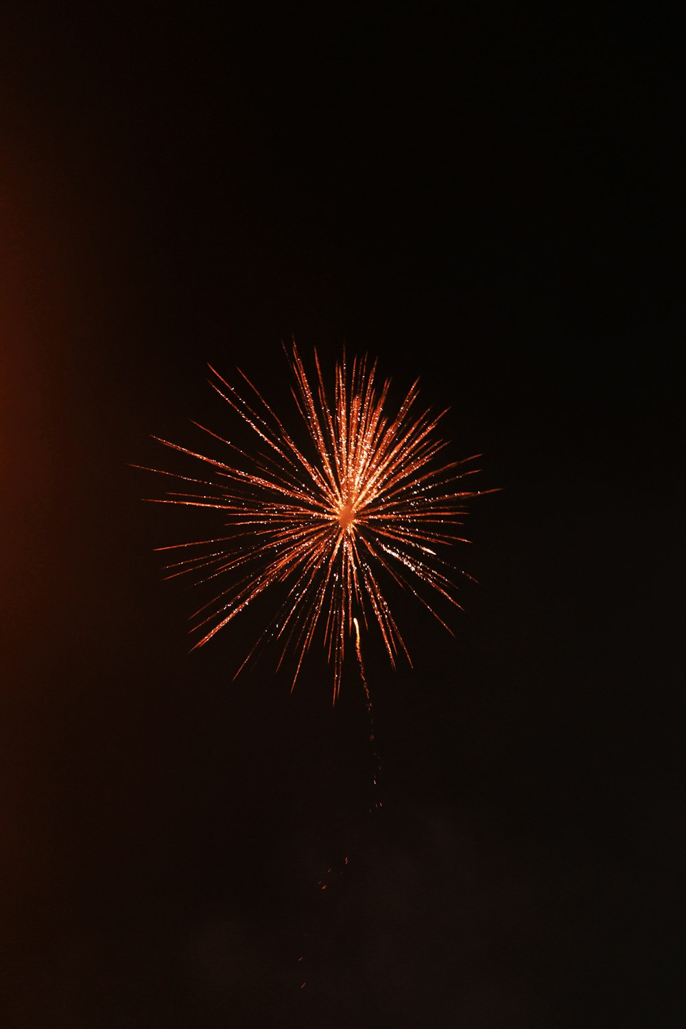 a firework in the sky