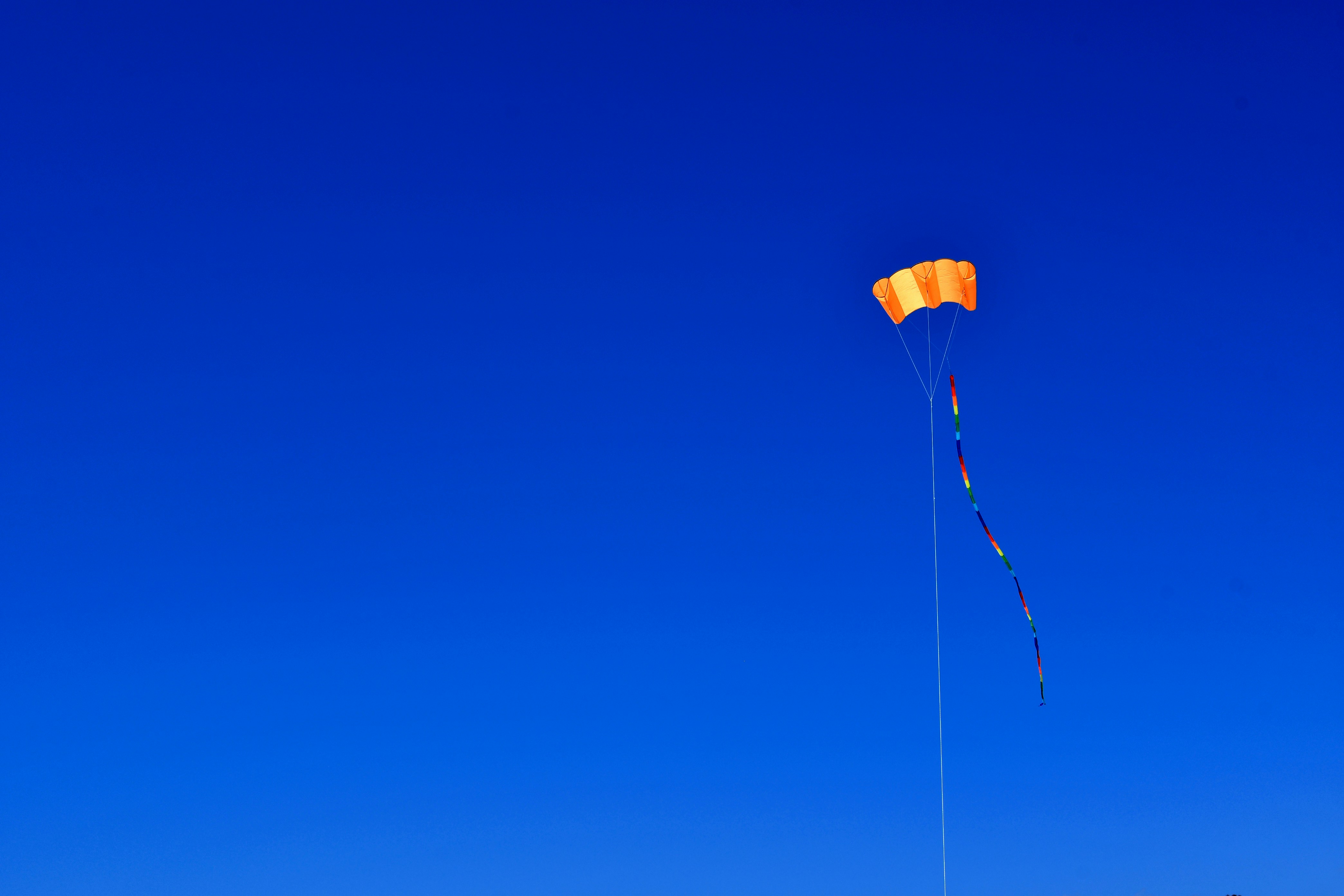 a kite flying in the sky