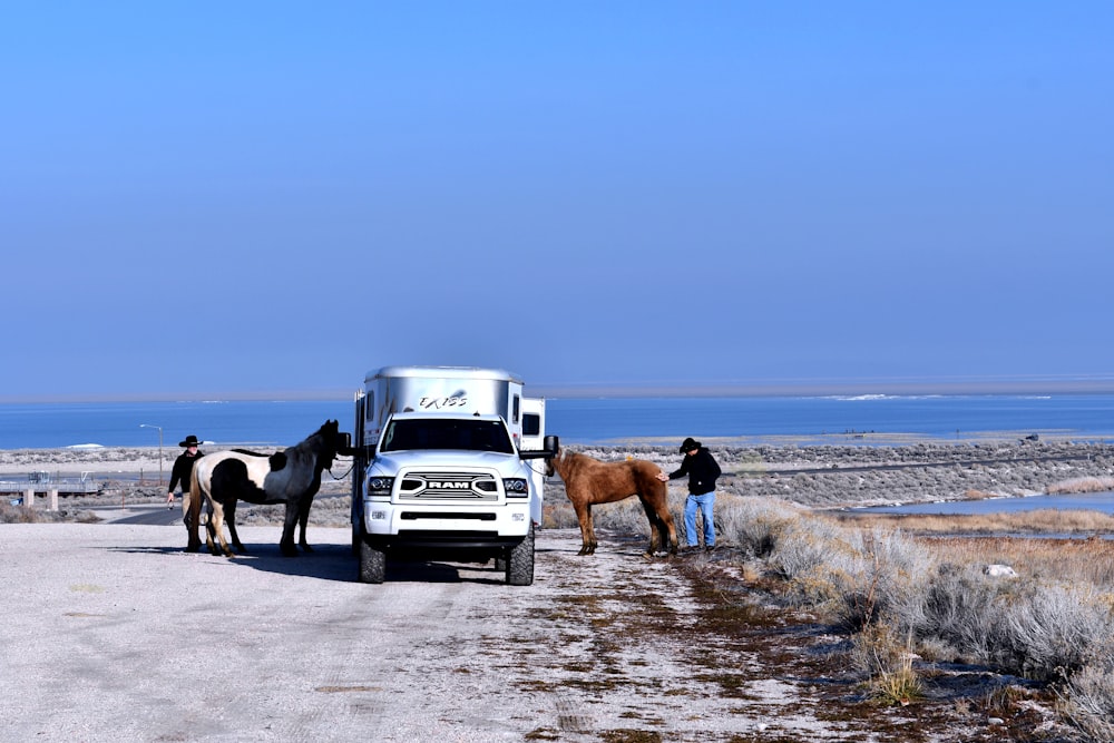 a truck and horses on a dirt road by a beach