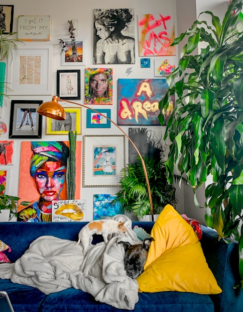 A colorful and eclectic living space features a gallery wall filled with diverse artwork, including portraits and abstract designs. A navy blue couch is adorned with a yellow triangular pillow and a cozy white blanket. A small dog is perched on the couch alongside a larger sleeping dog. Around the room, various green plants add a touch of nature, while a copper floor lamp provides lighting.