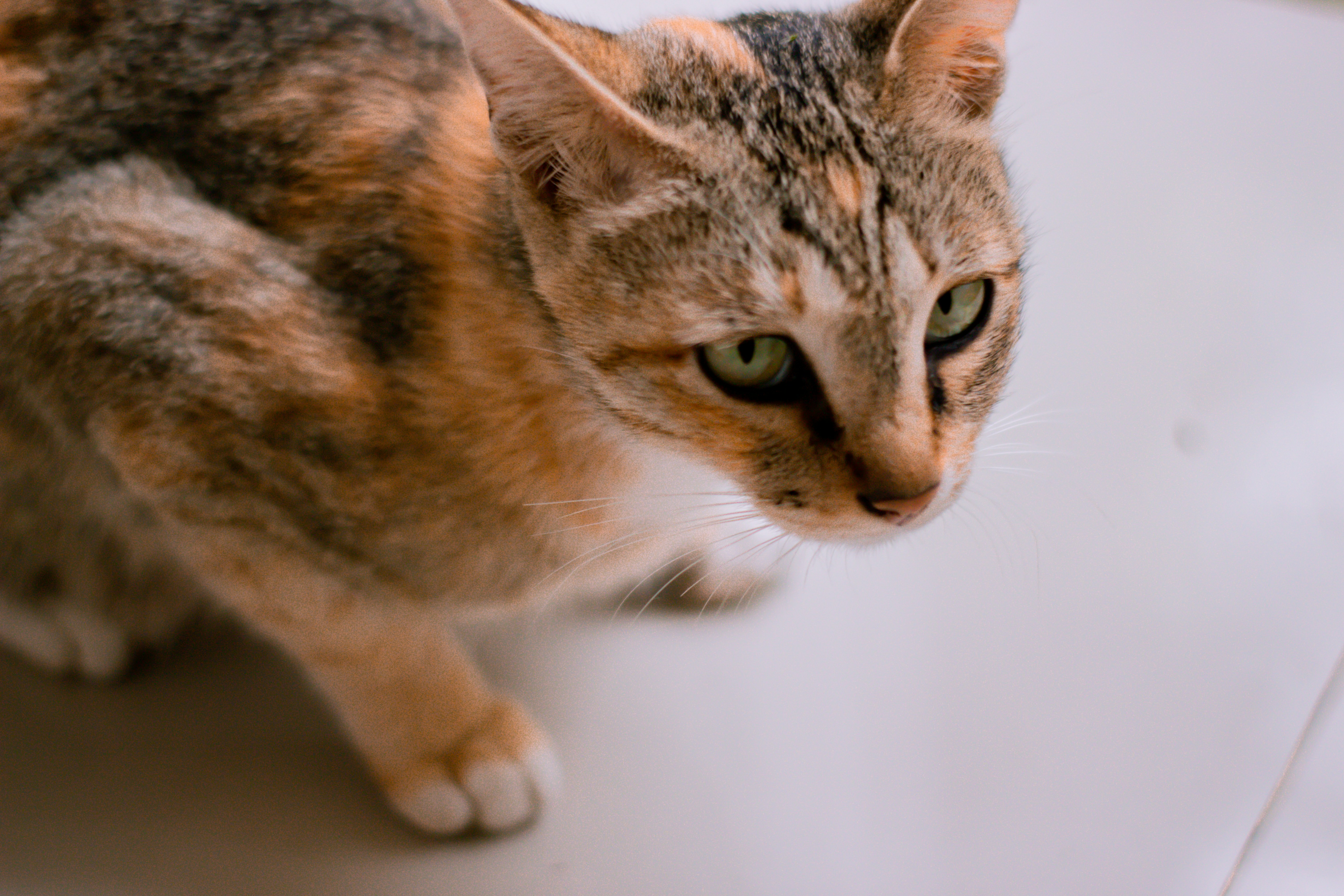 Photo by akhirulfajar