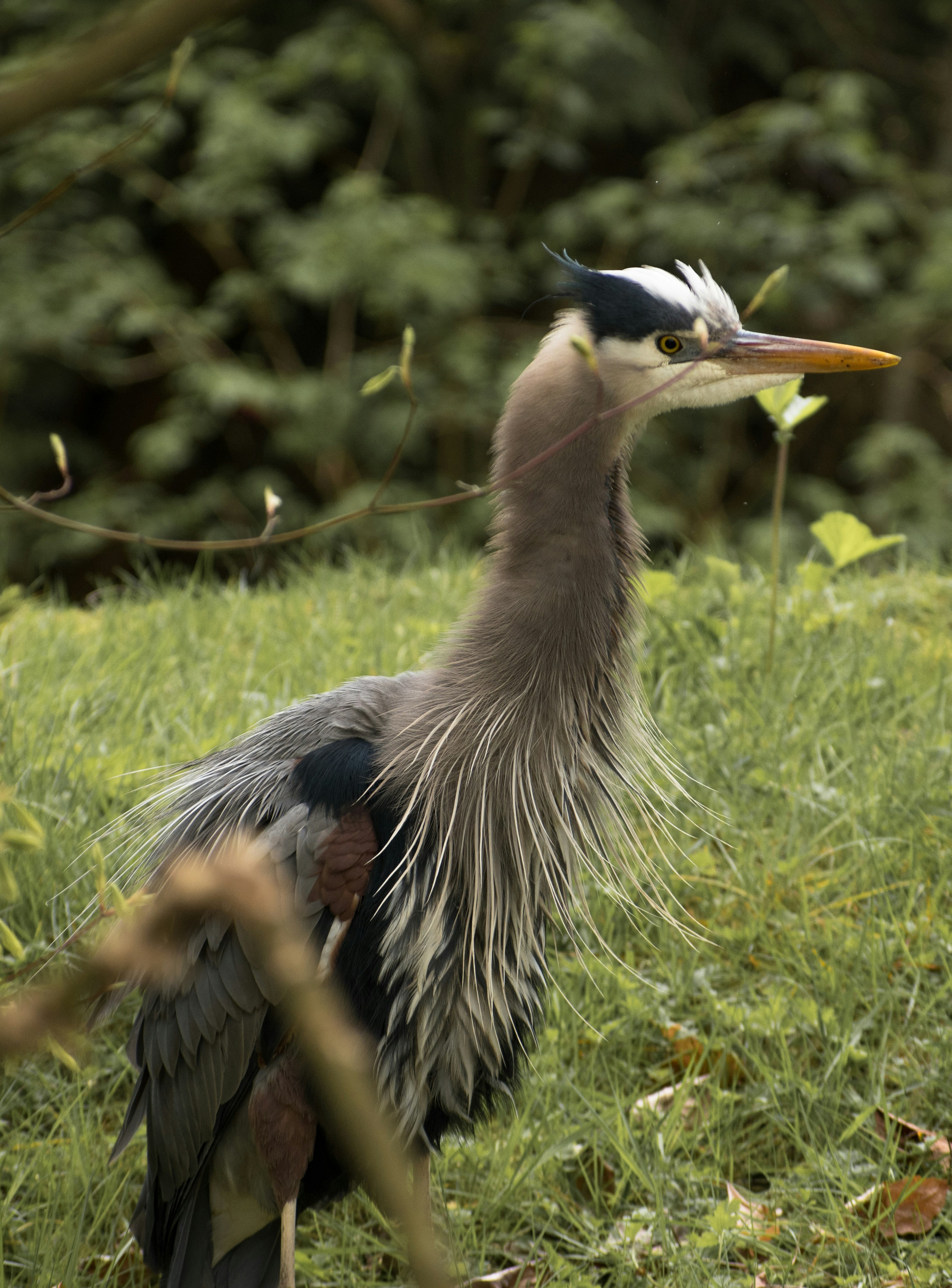 Photo by albertstoynov