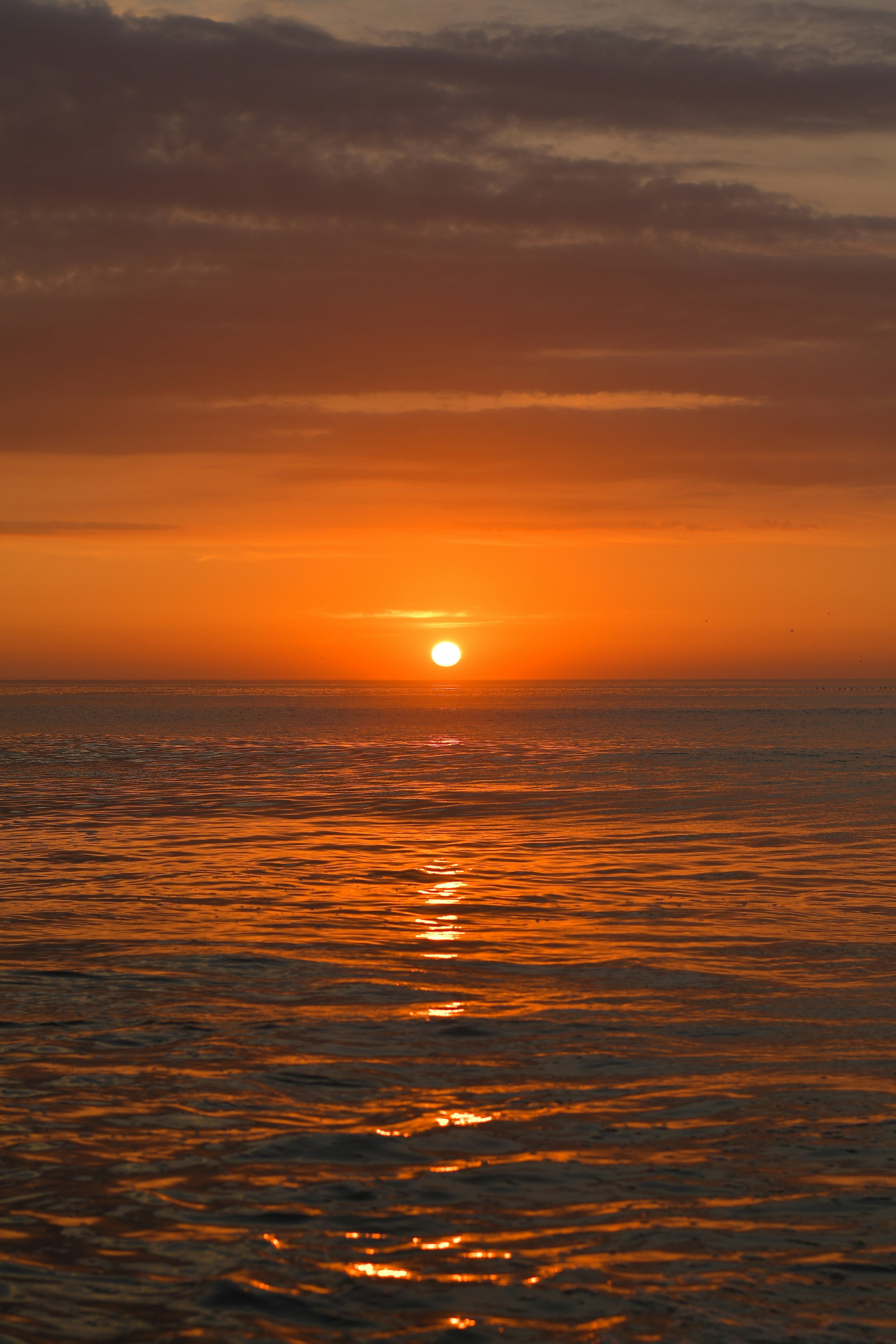 Photo by kingcharley