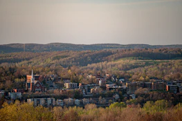 A scenic view of Northampton County, highlighting the community Brandon aims to serve.