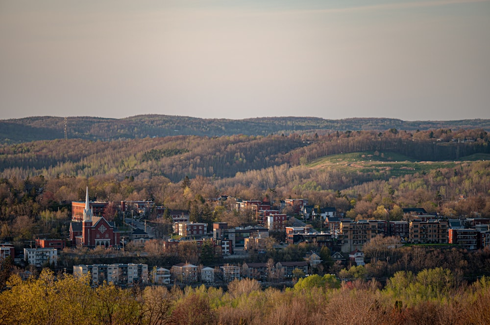 a city in the valley