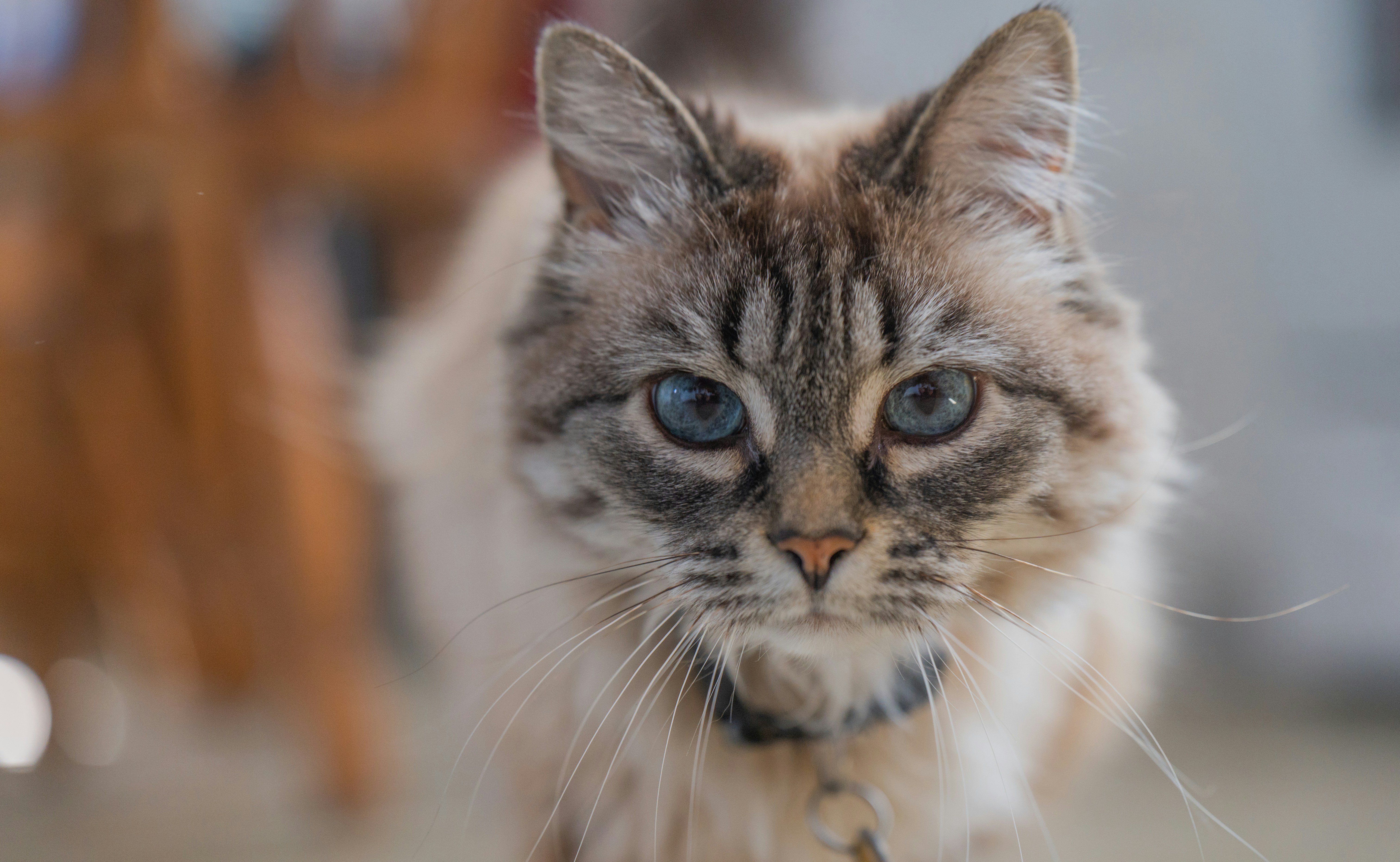 Photo by add_rien_20