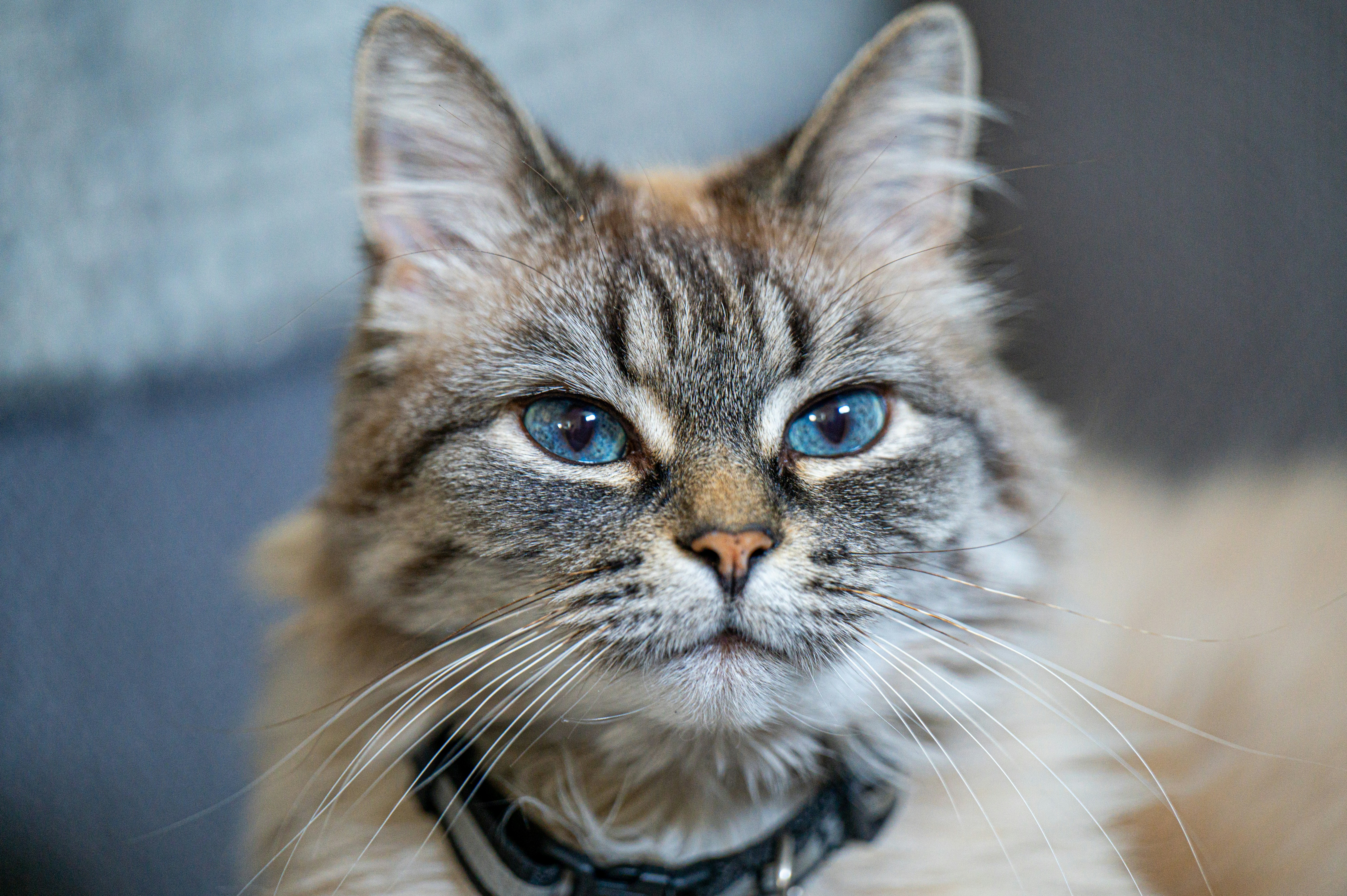 Photo by add_rien_20