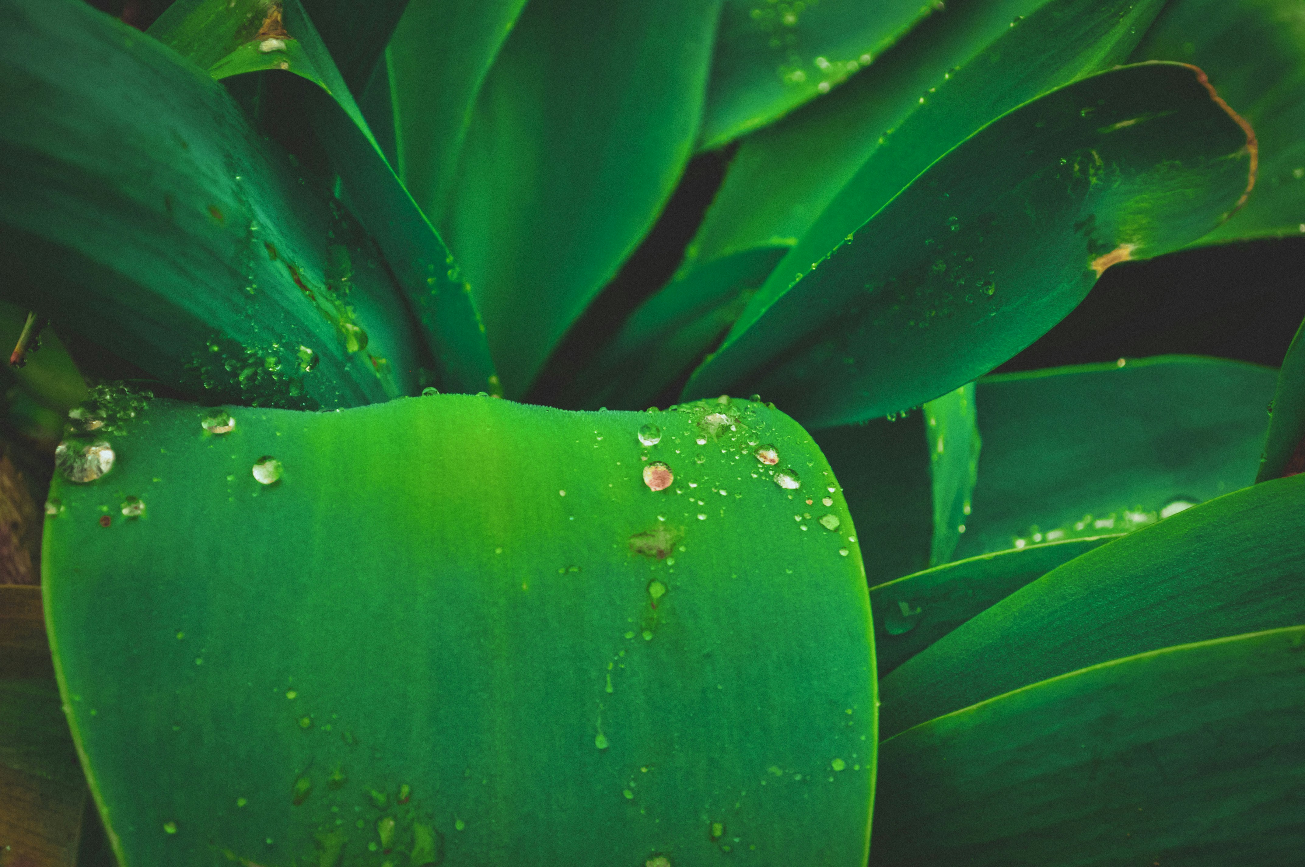 Photo by waterfallen