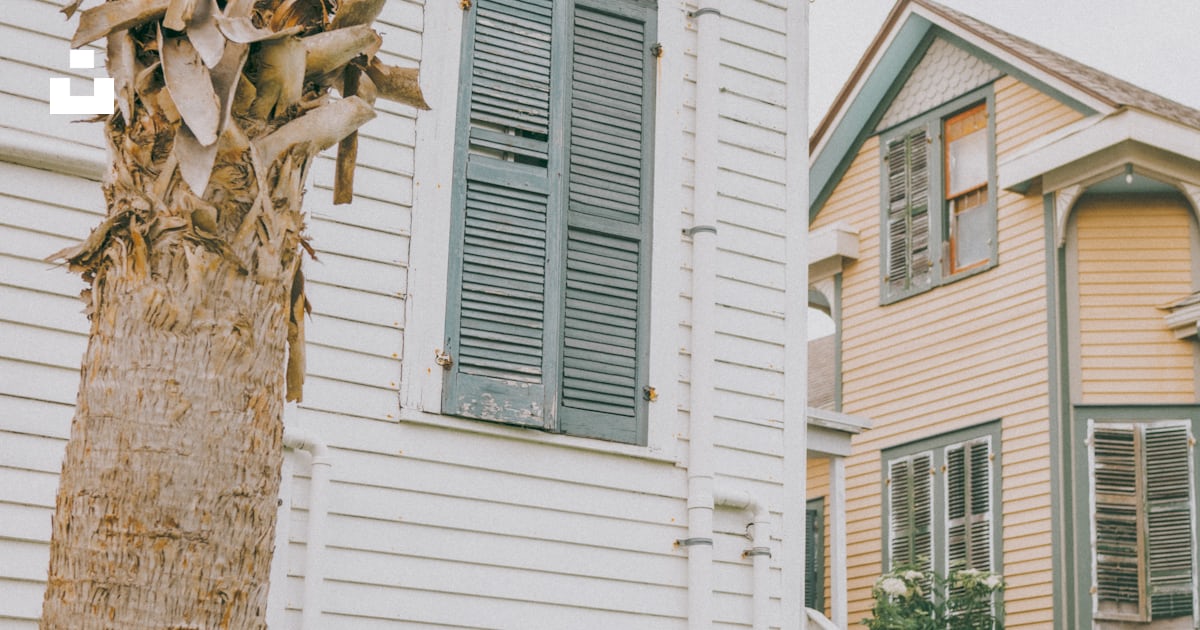 A tree next to a house photo – Free Galveston Image on Unsplash