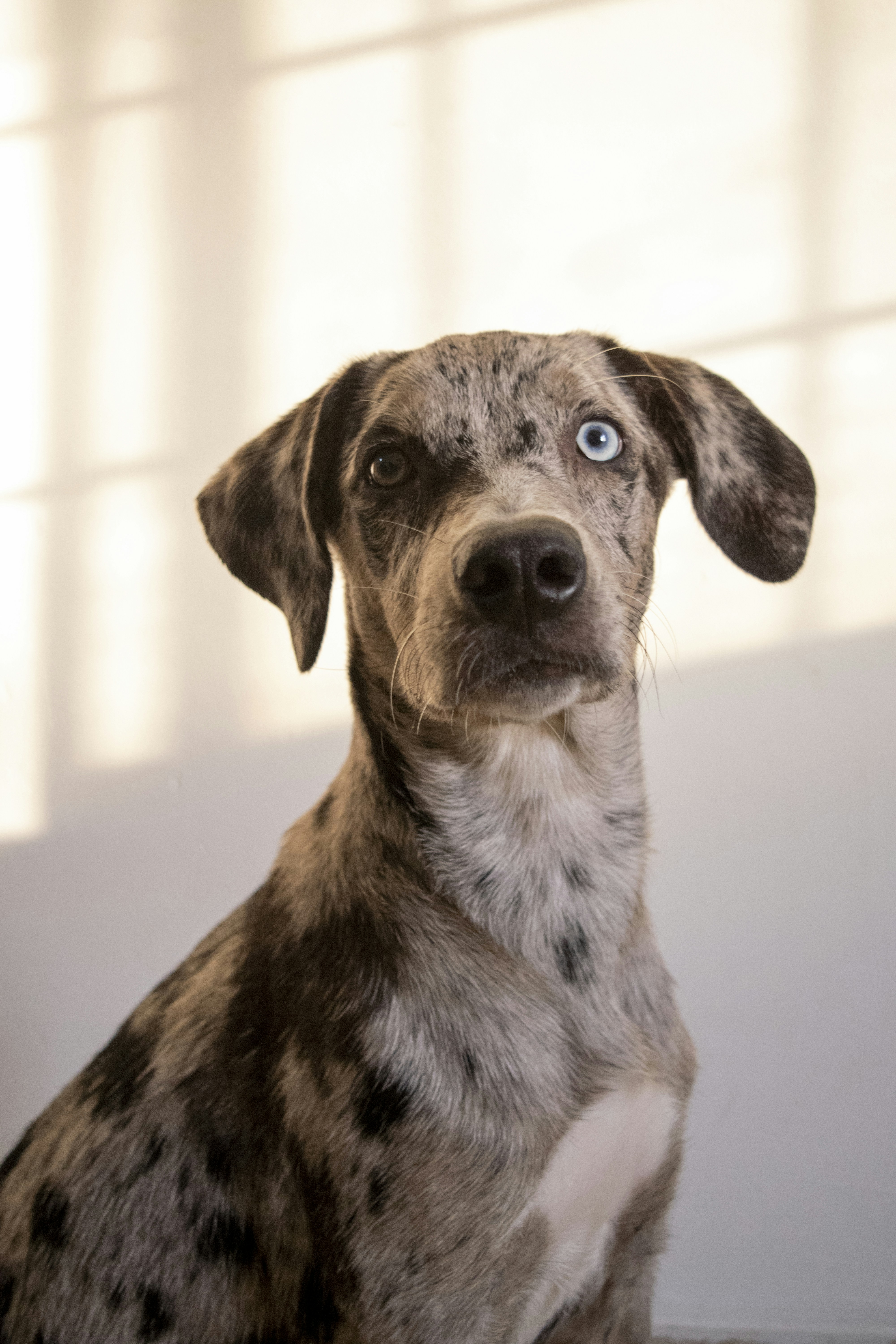 Photo by lesstorres97