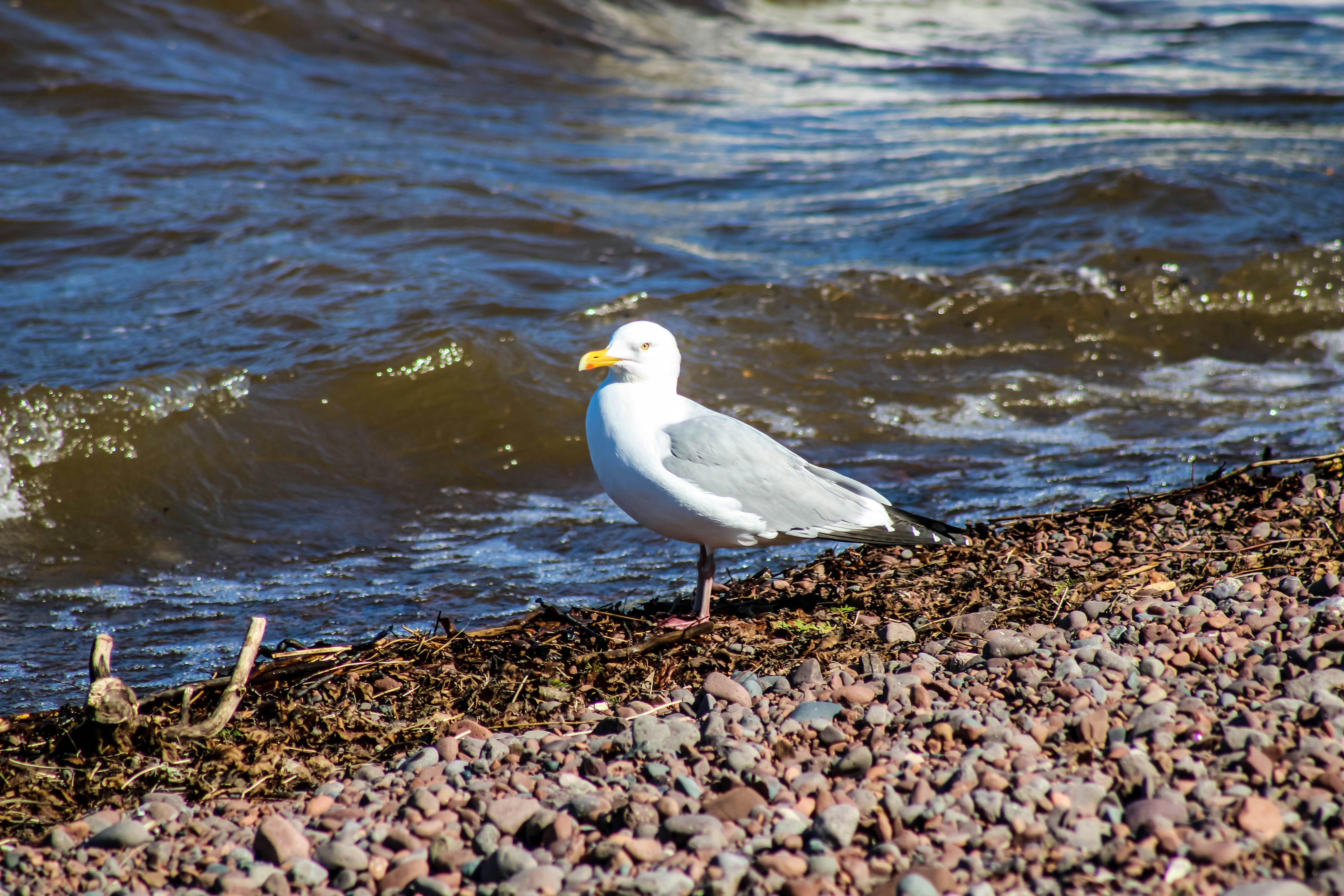 Photo by codyotto507