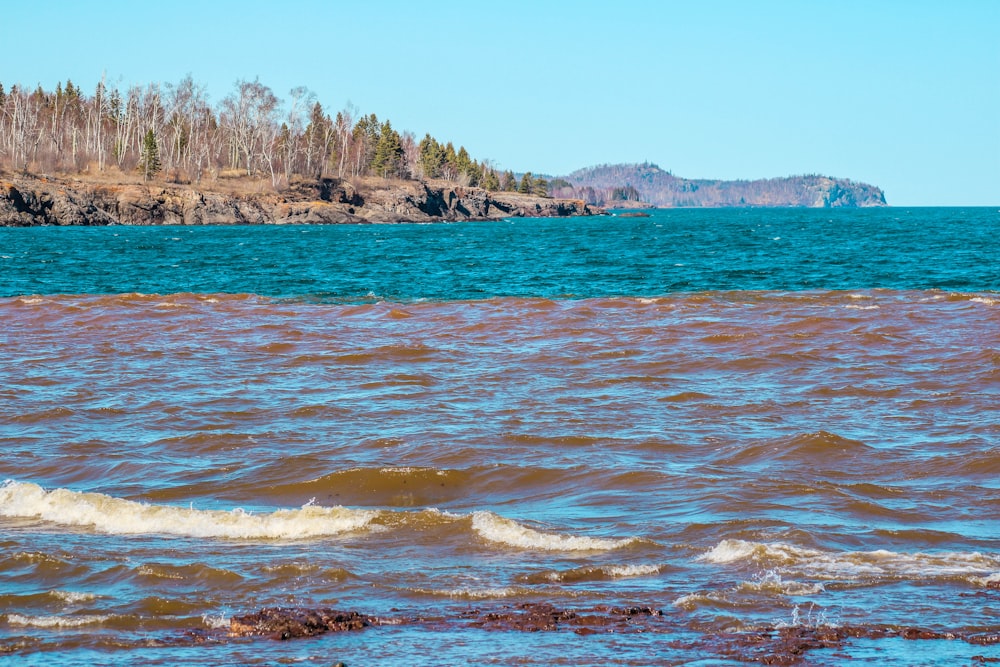 a rocky beach with trees