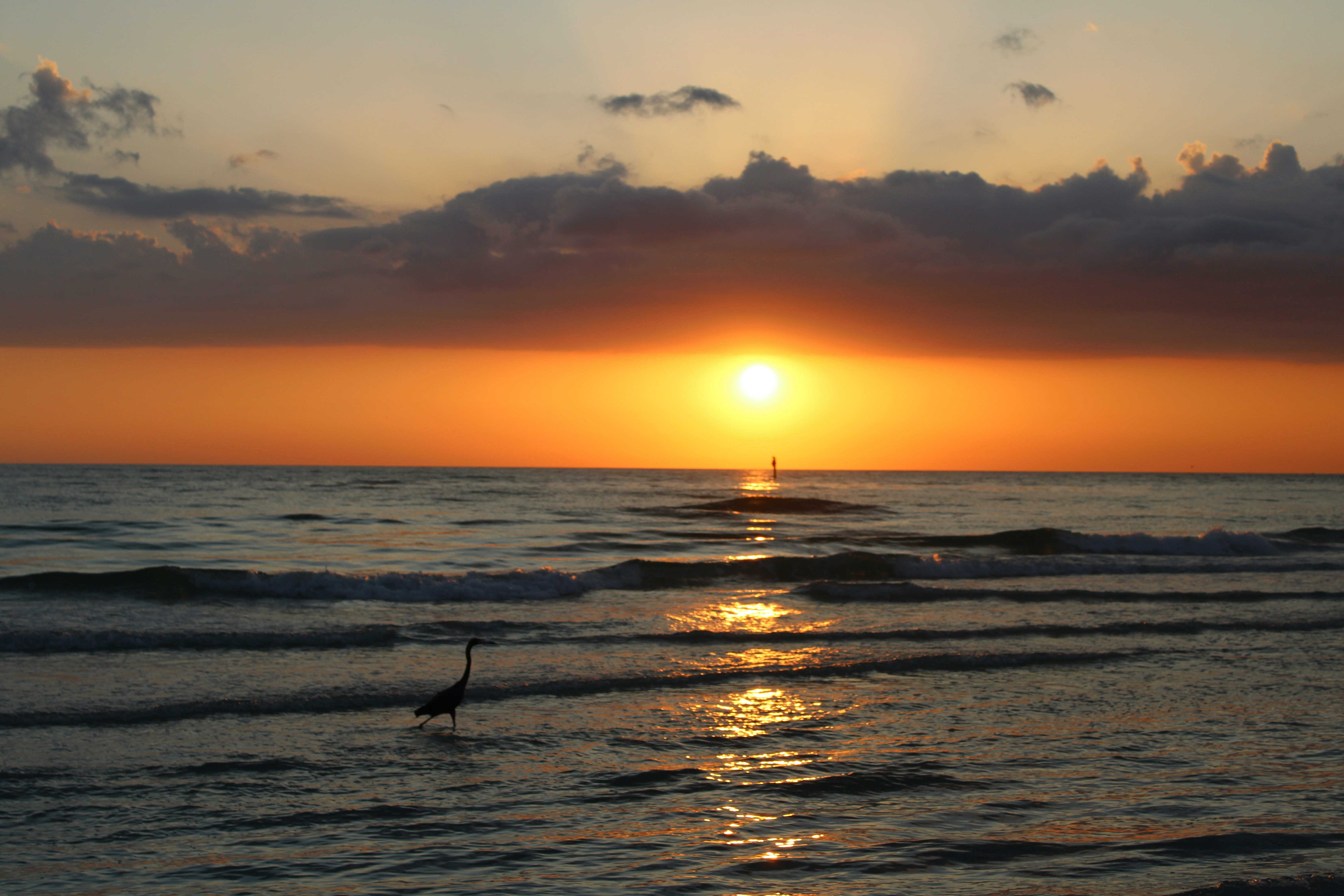 Photo by amandajean007