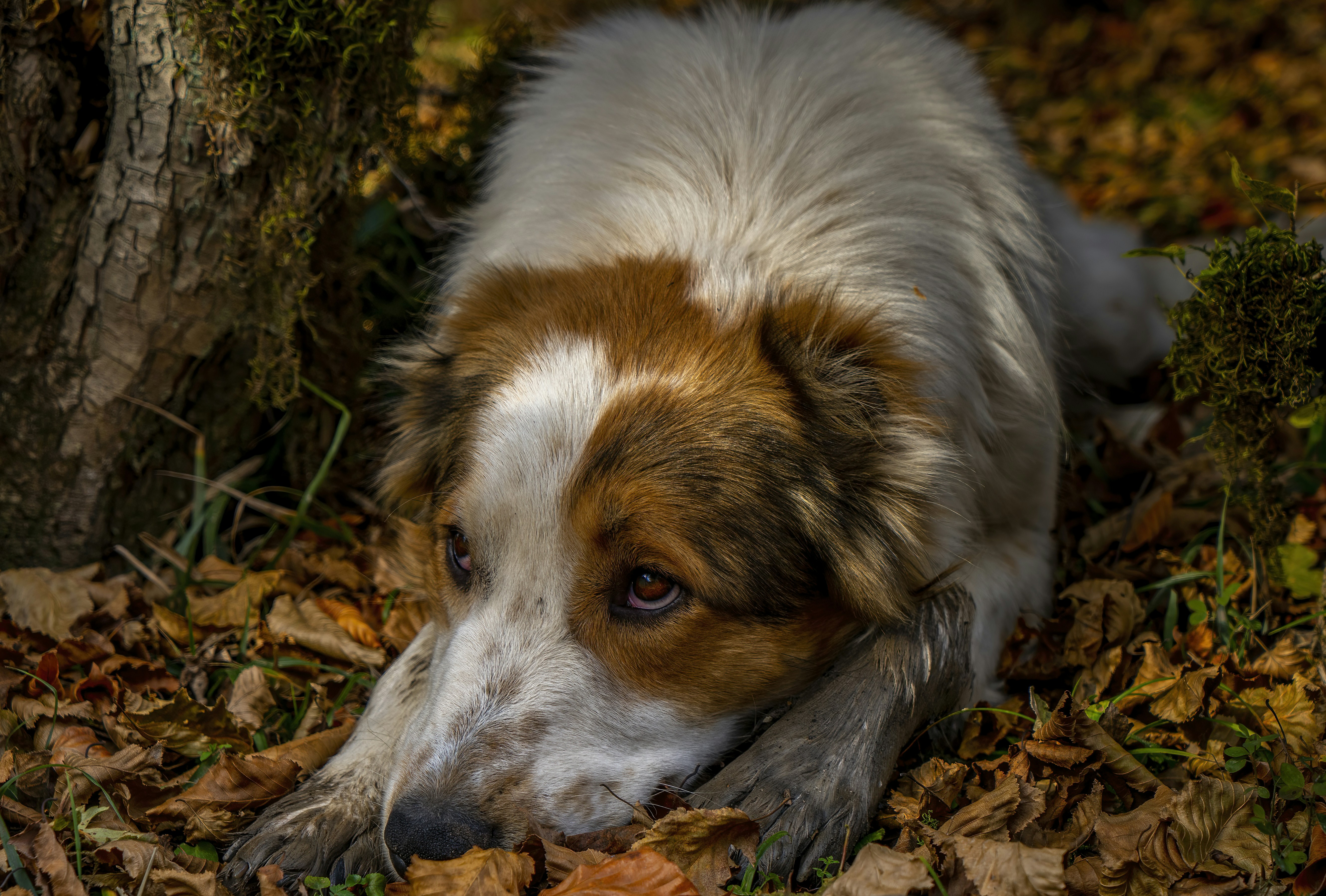 Photo by akbarnemati