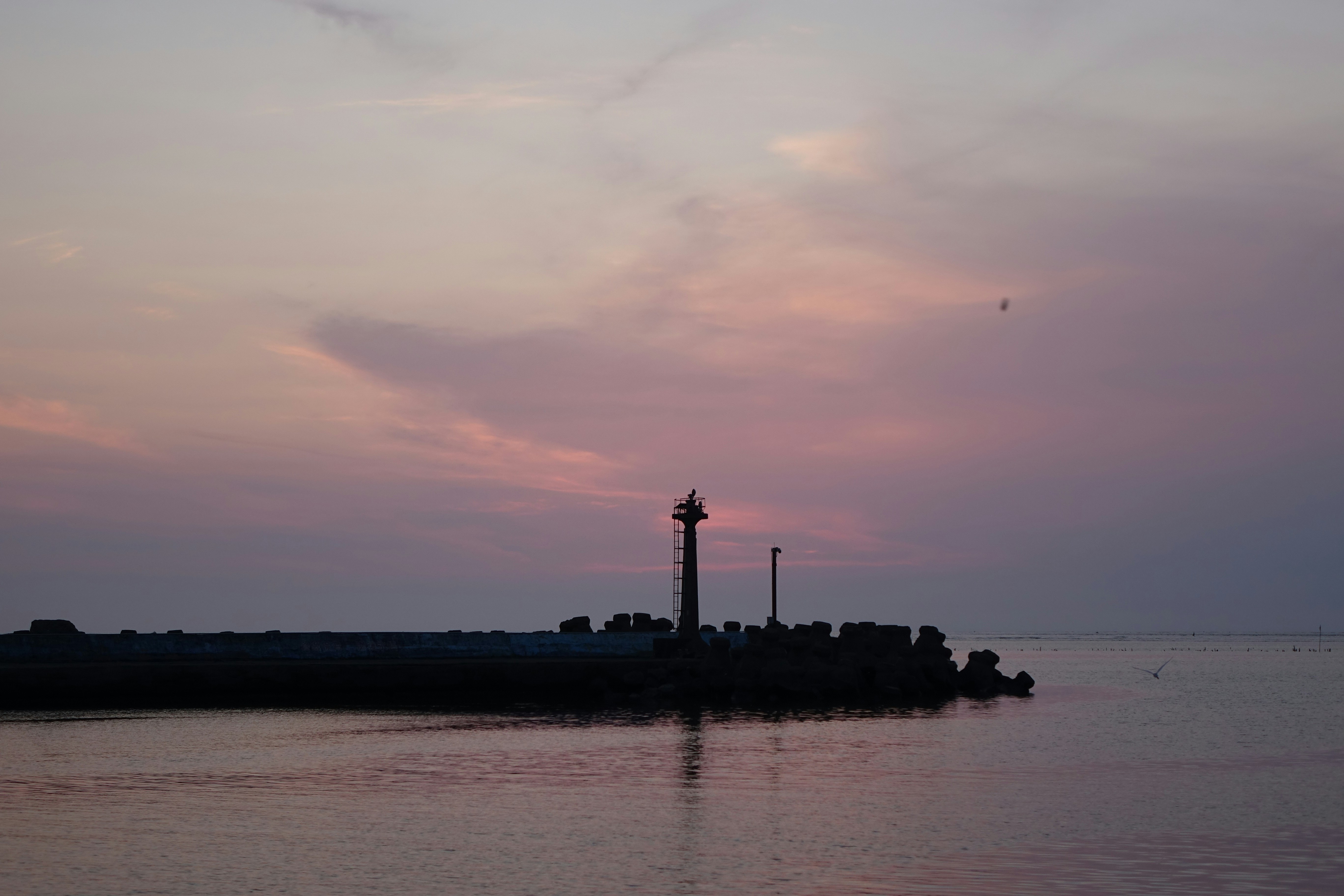 Photo by arthur3607