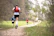 Group of runners climbing a wooden wall in a forested mountain trail, faces showing determination.