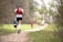 Runners crossing a lush forest trail during the Trail du Grand Sénonais event.
