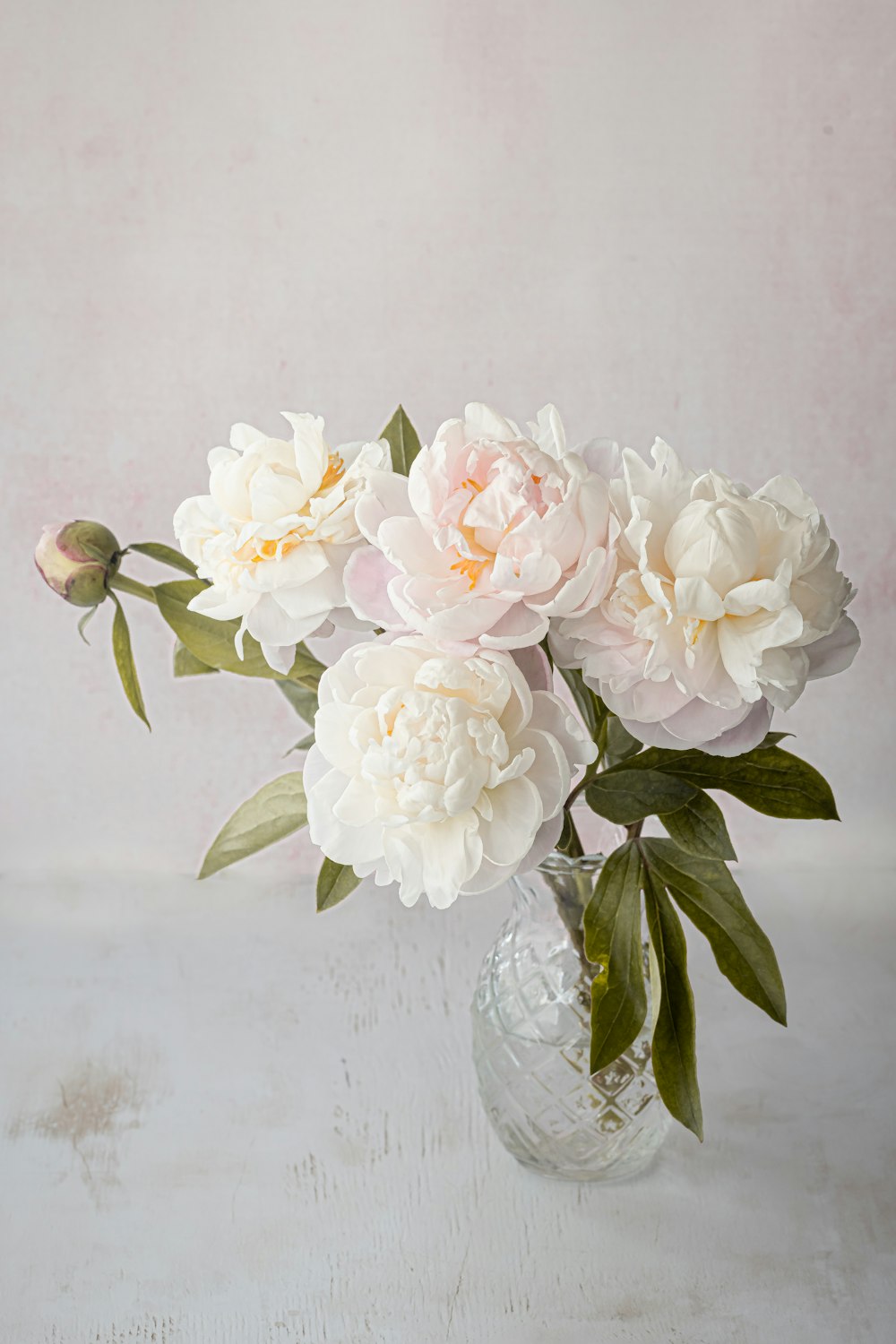 a vase with white flowers