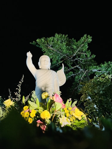 photo 1652167509073 0ef1d8403cbd?q=85&w=500&h=500&fit=crop