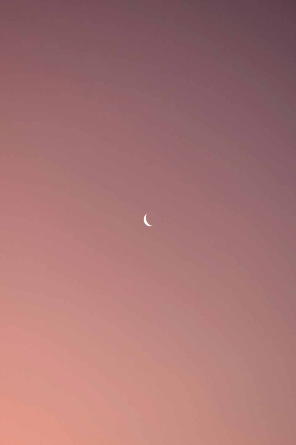 a crescent moon in a pink sky