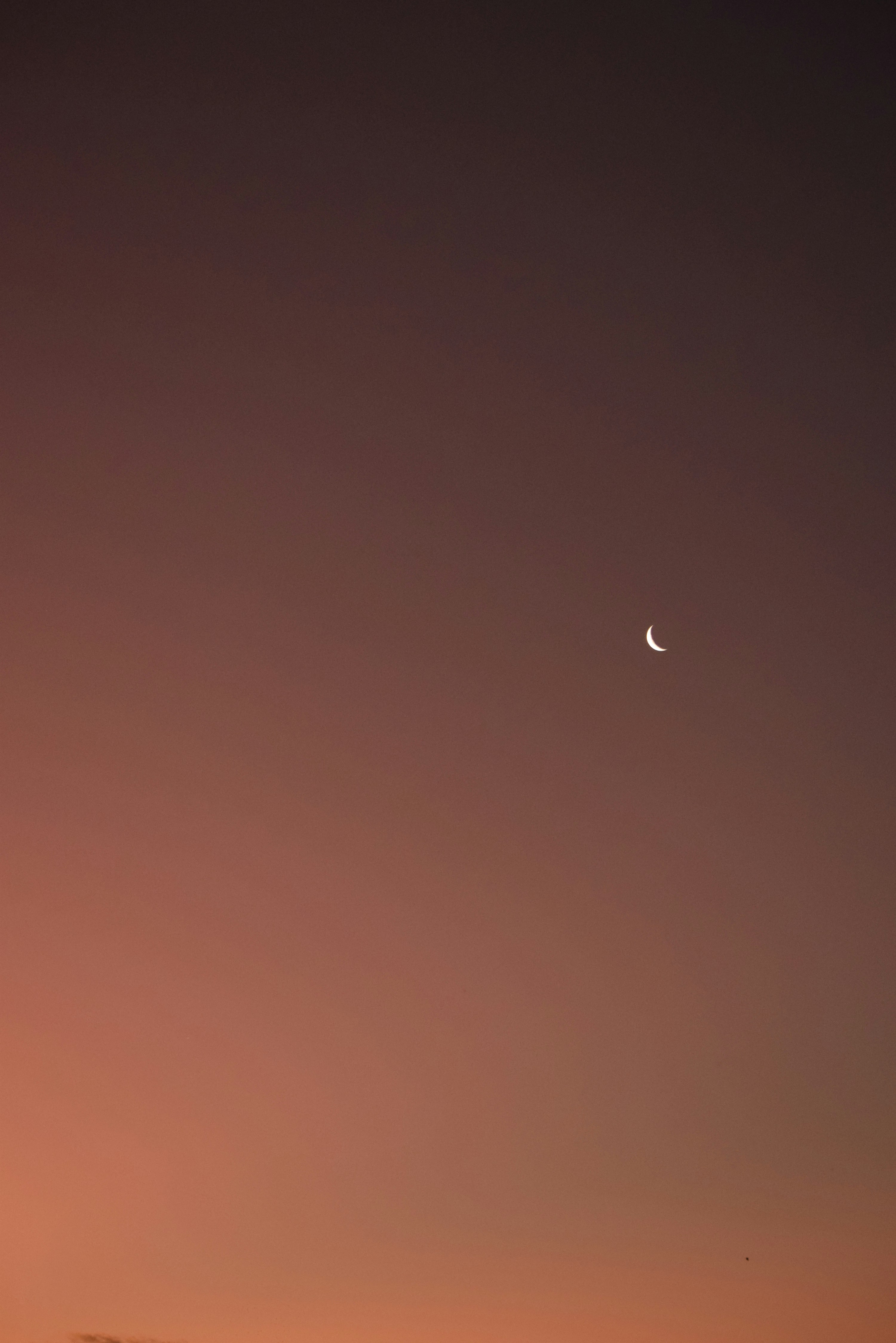 Photo by ch_photography