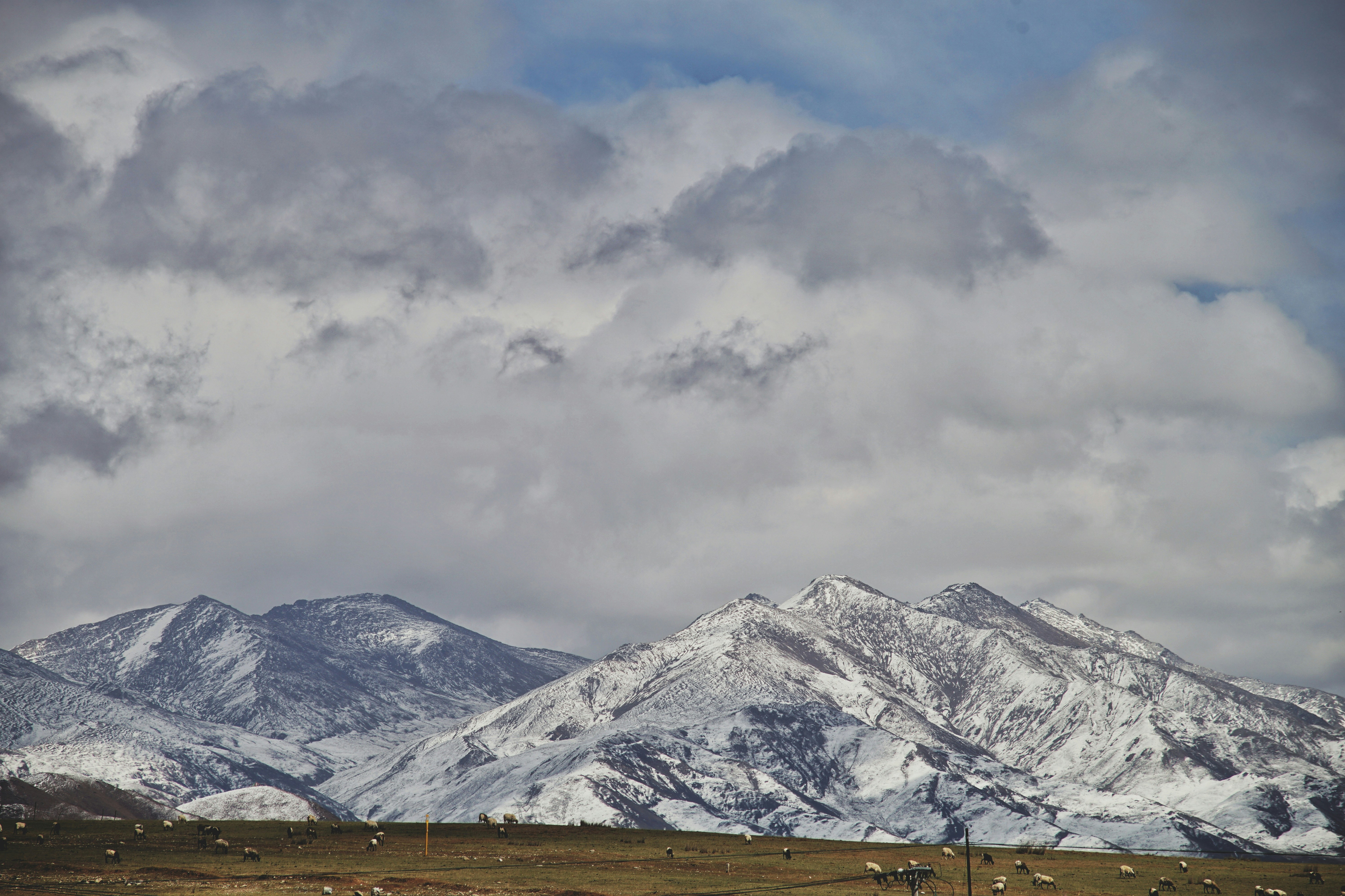 Photo by judahwester