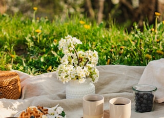 Spring picnic with waffles in blooming garden