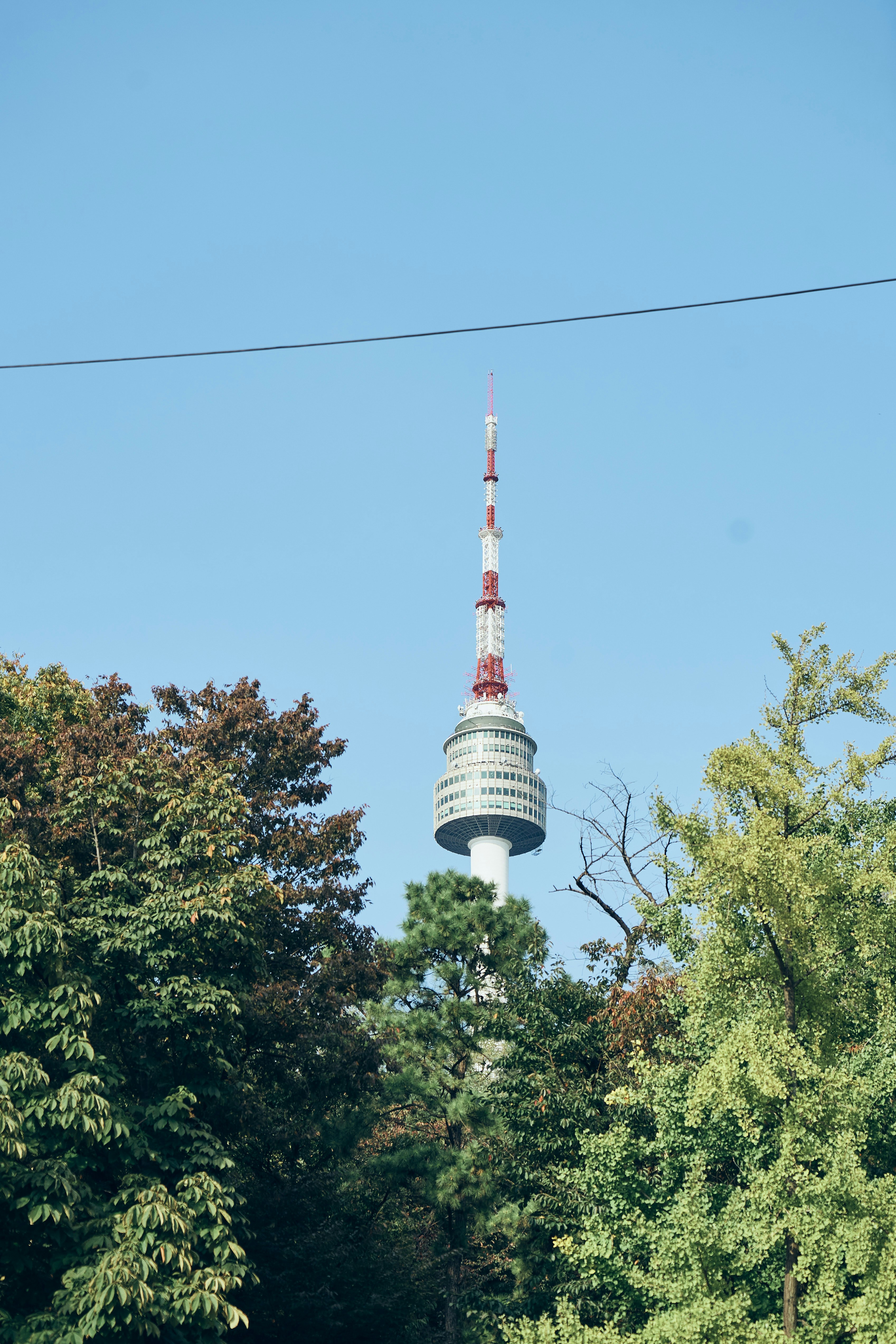a tall tower with trees around it