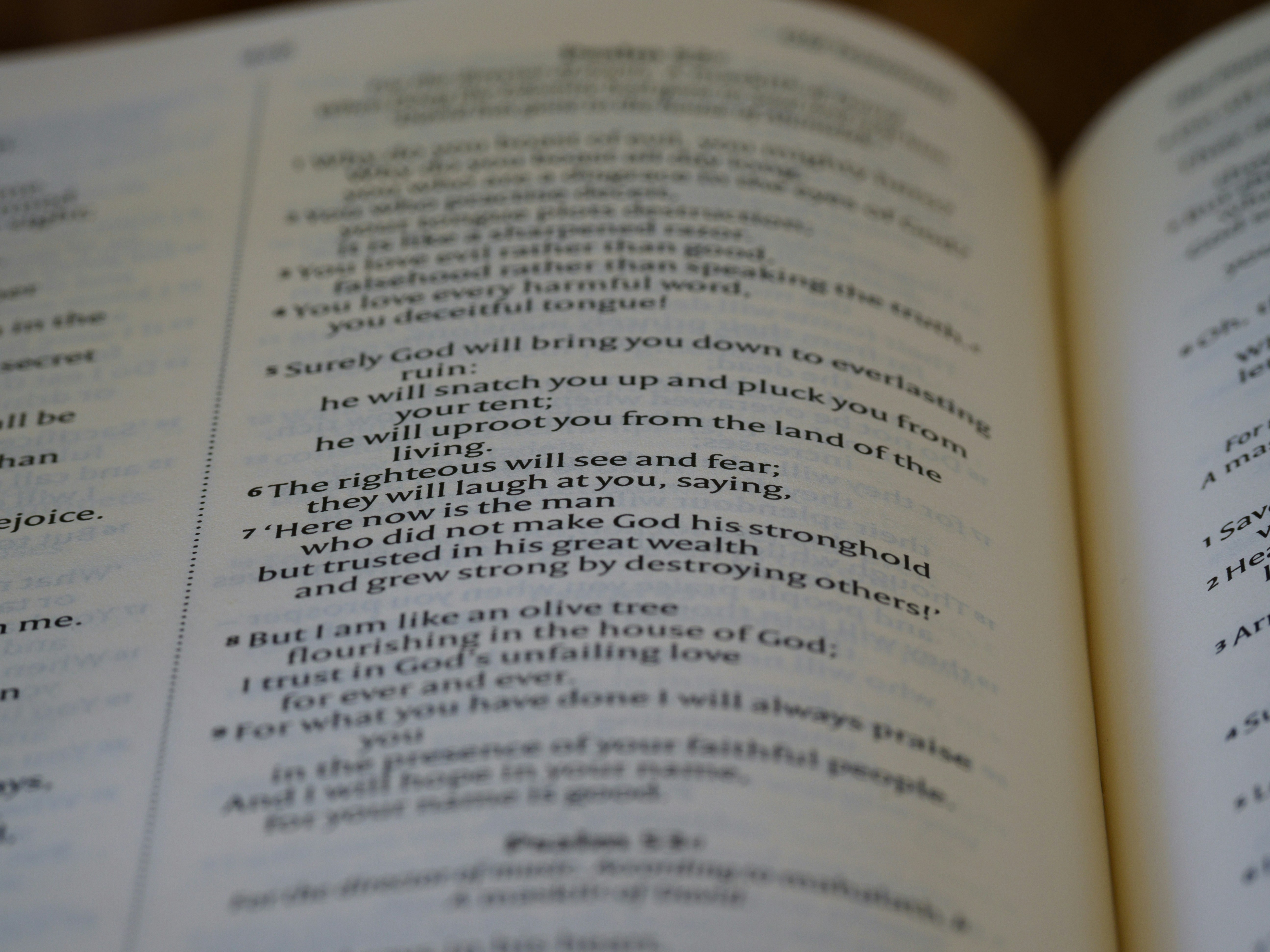 Photo by brett_jordan