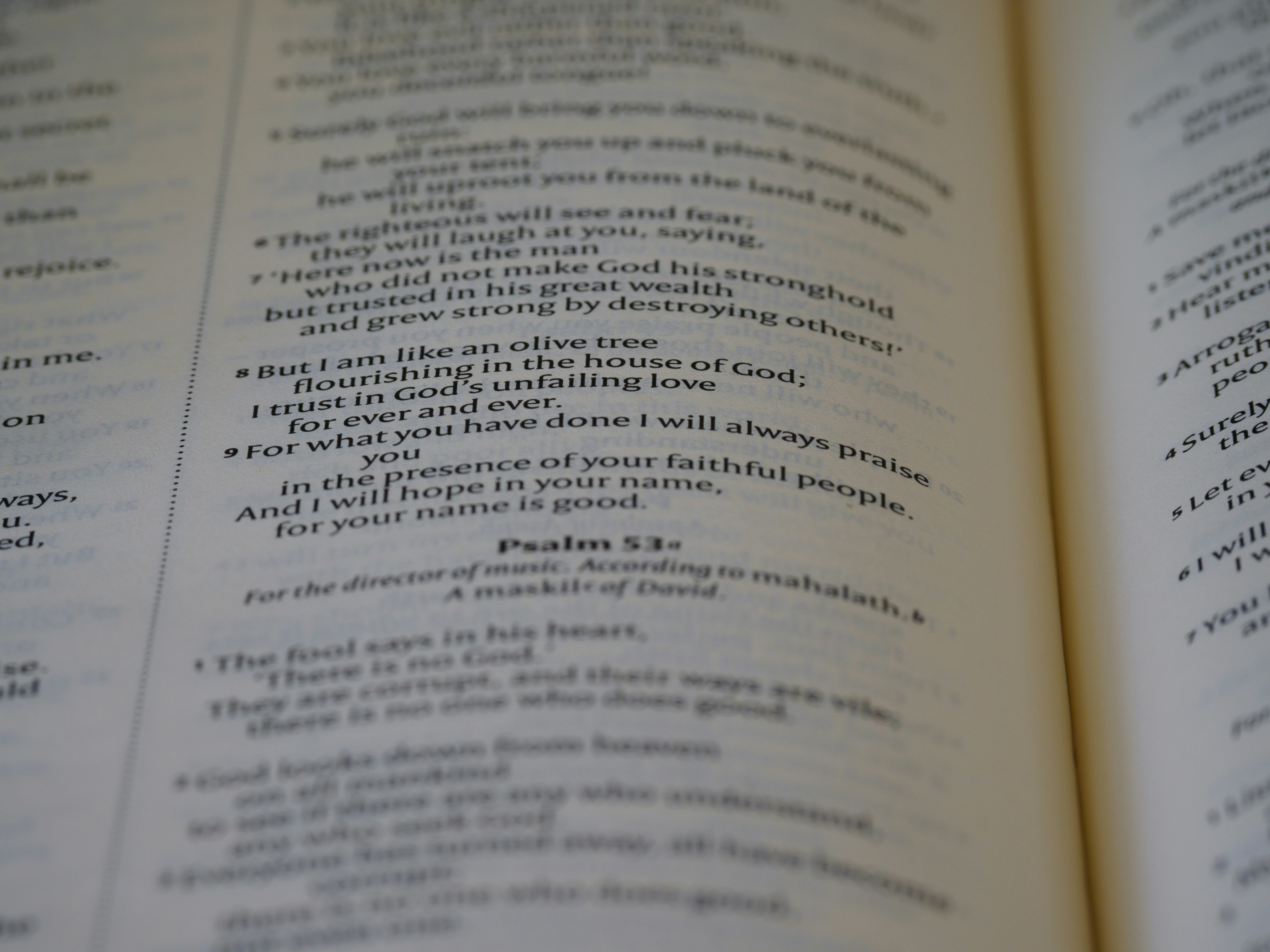 Photo by brett_jordan