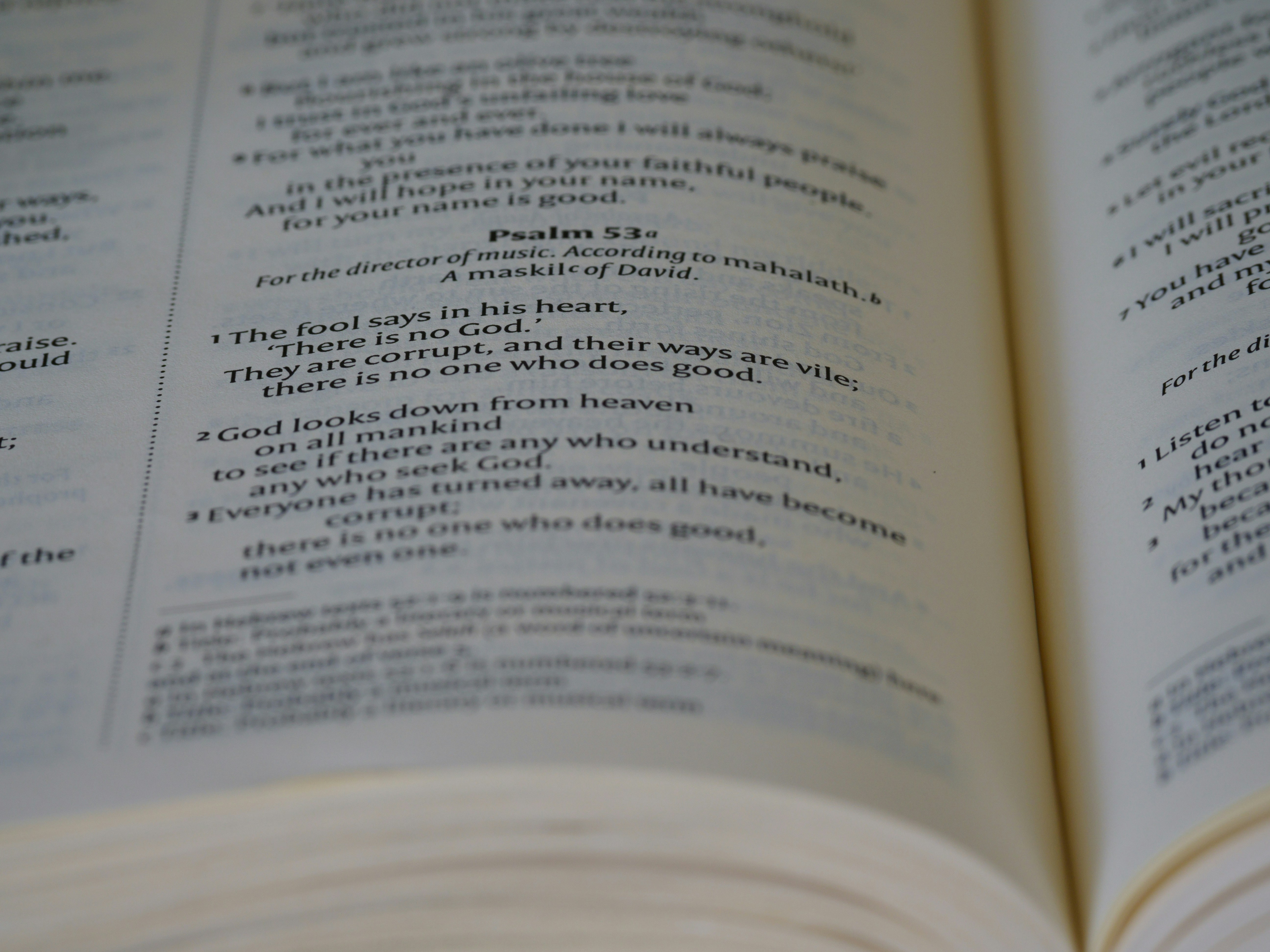 Photo by brett_jordan