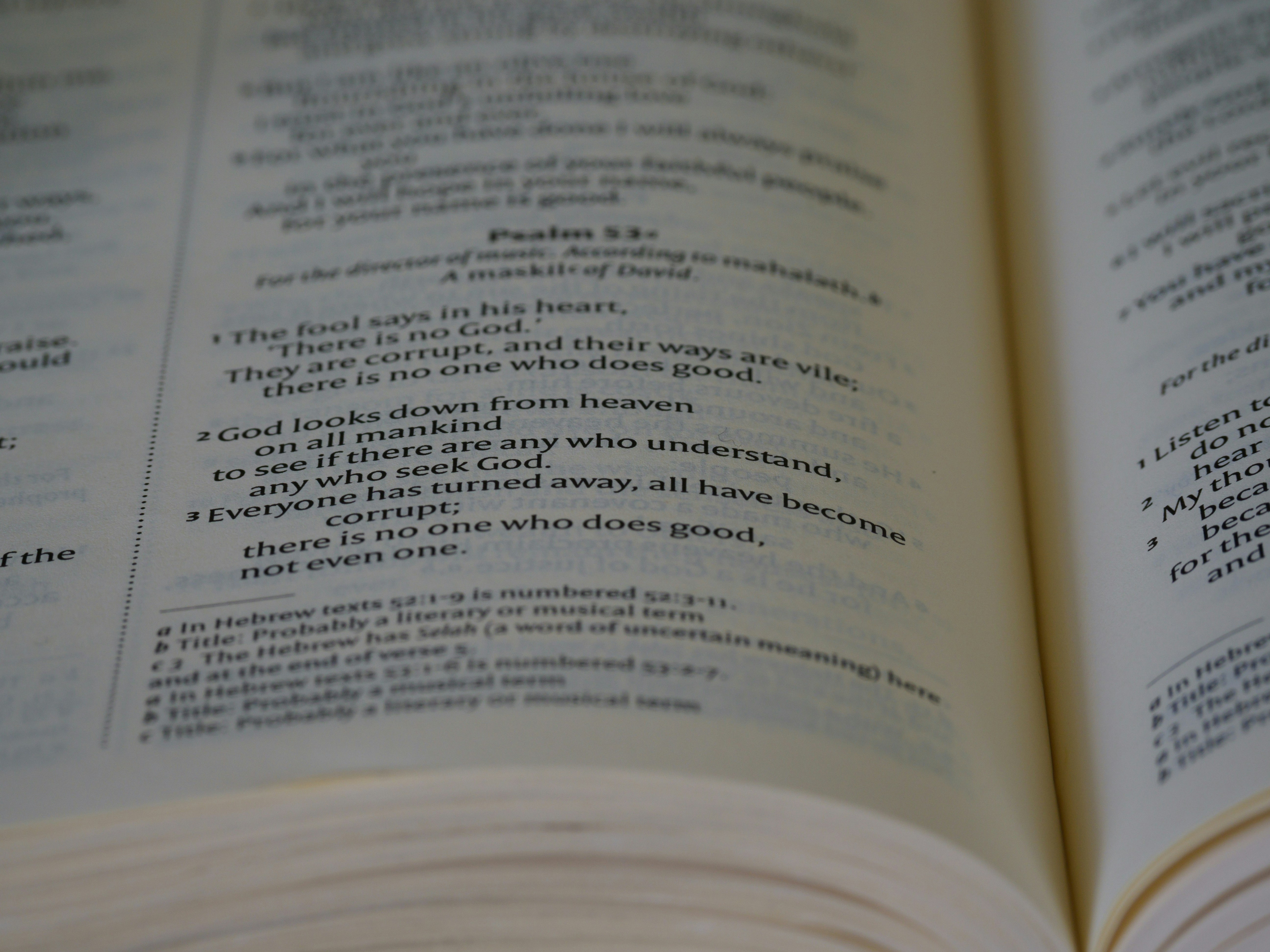 Photo by brett_jordan