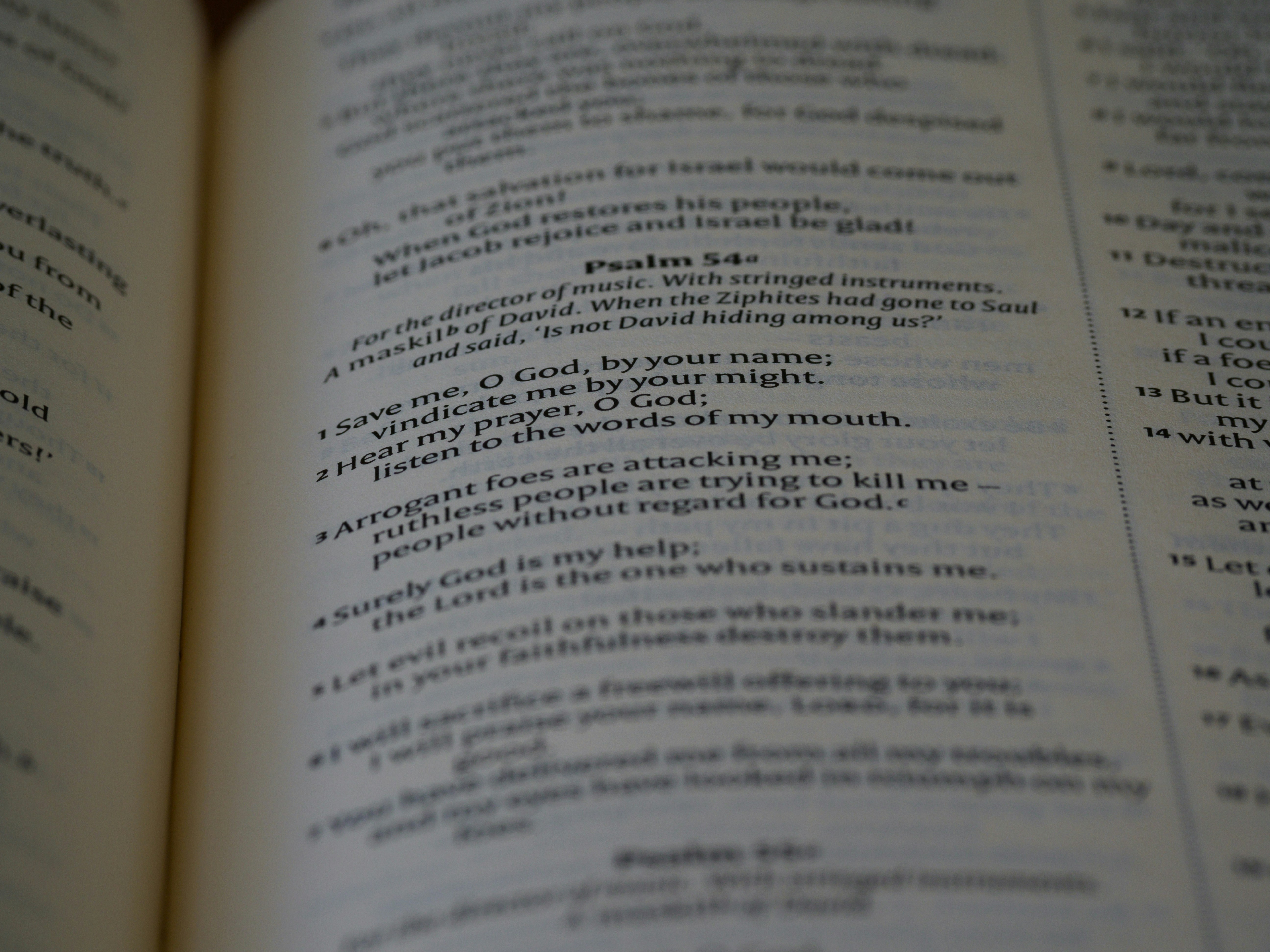 Photo by brett_jordan