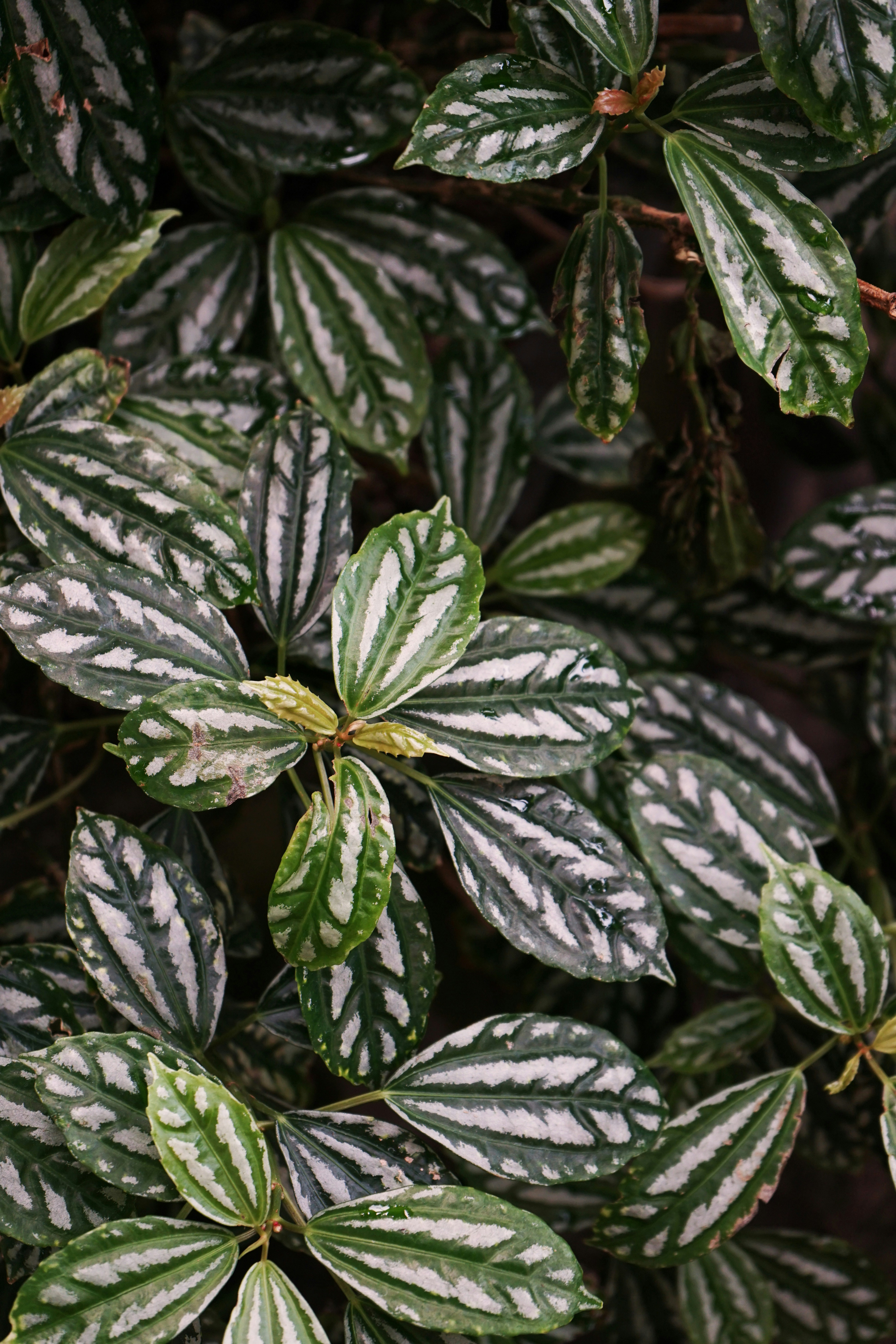 Photo by sofia_velgosh