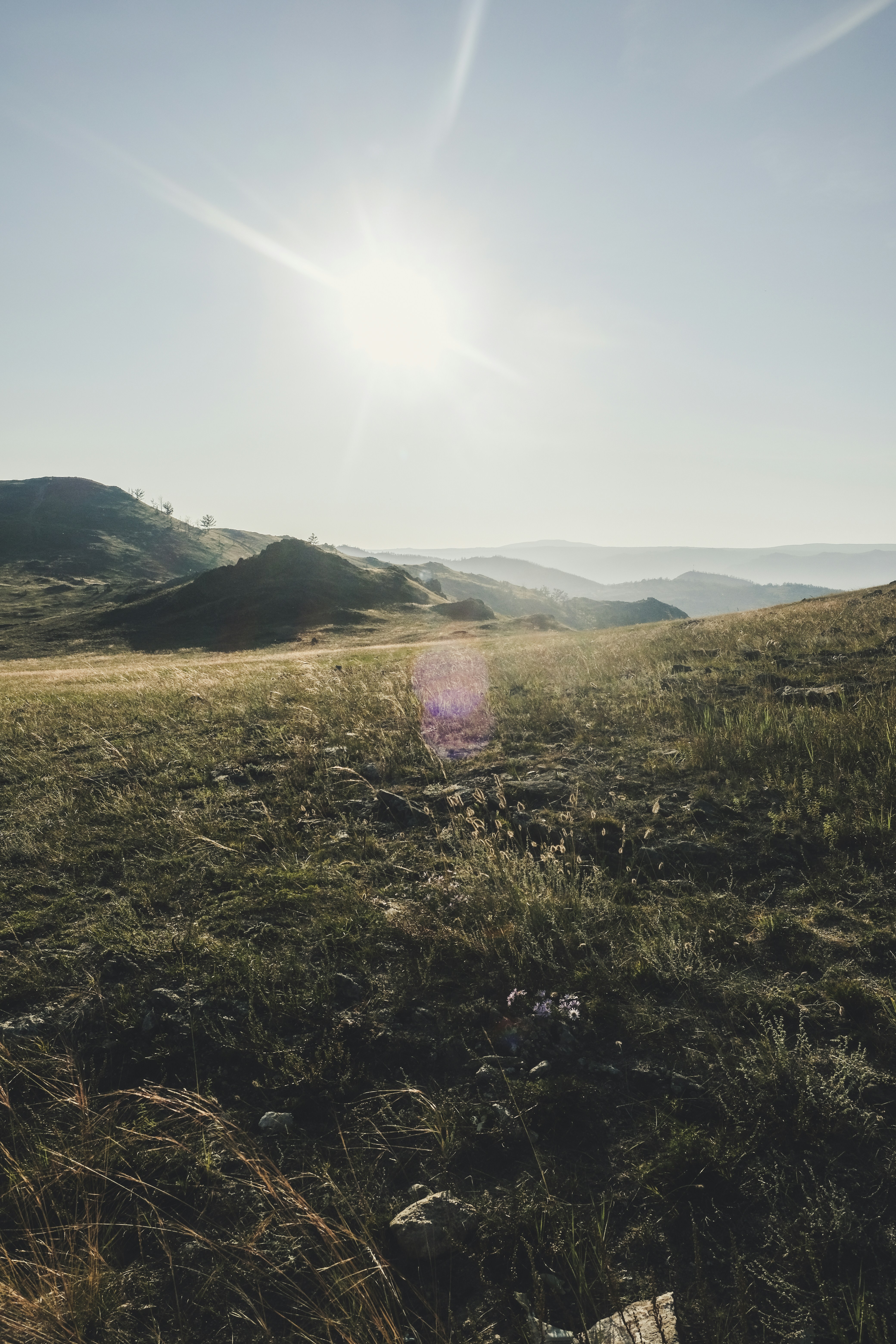 a grassy area with hills in the background