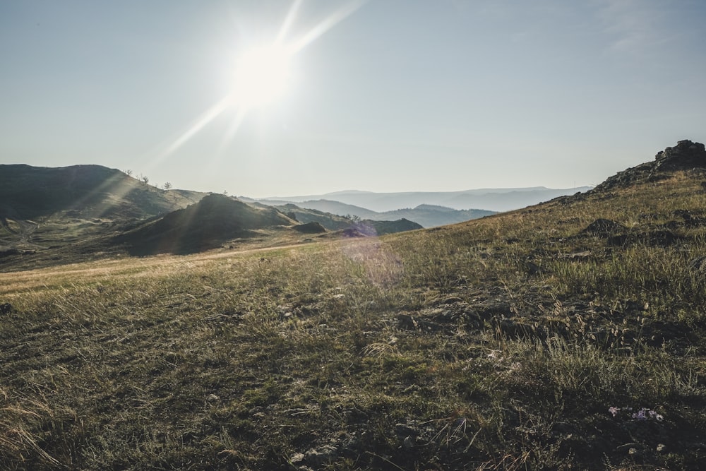 a grassy hill with a bright sun