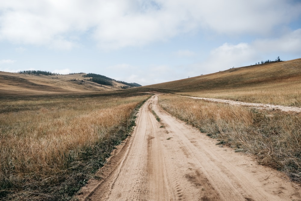 a dirt road in a field