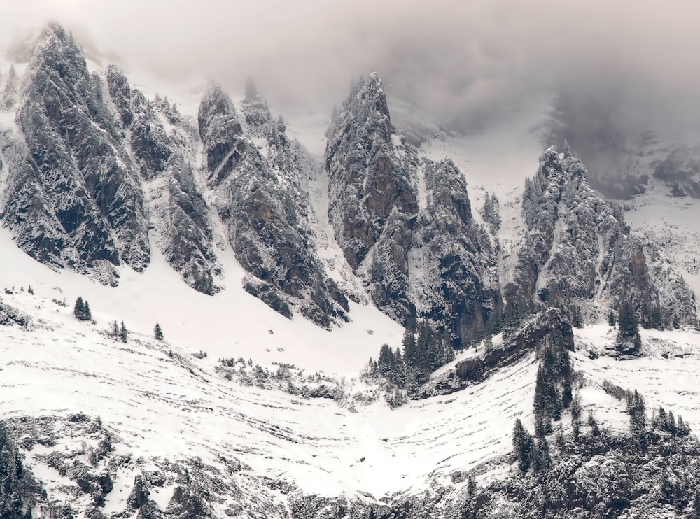 a snowy mountain with trees