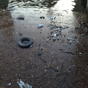 A body of water is heavily polluted with various types of debris, including plastic bottles, an old tire, and other miscellaneous trash. The water surface is cluttered with litter, suggesting environmental neglect and pollution.